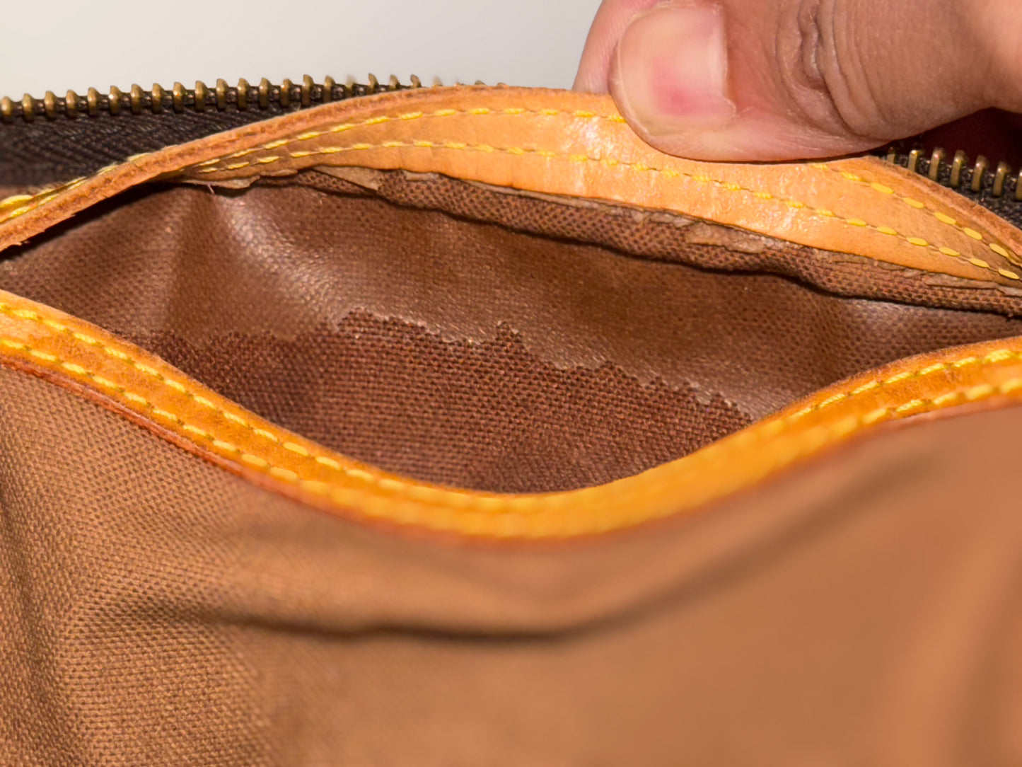 Louis Vuitton Speedy 25 Mono