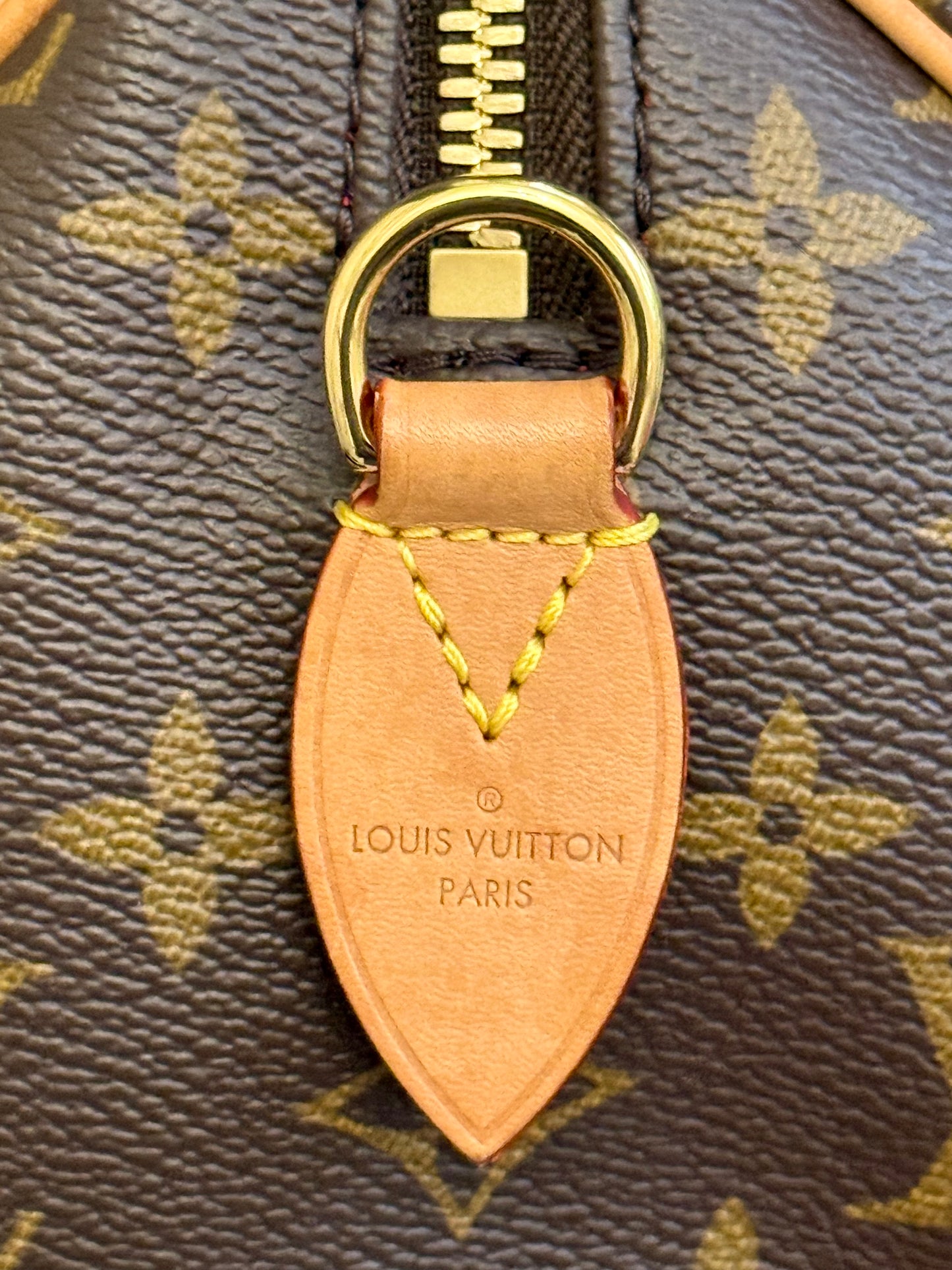 Louis Vuitton Speedy 20 Mono Bag Only