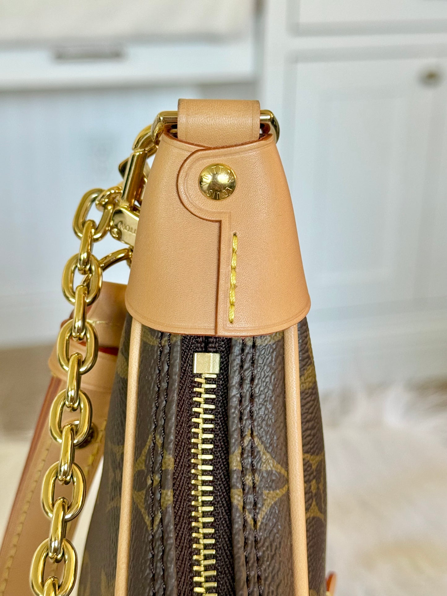 Louis Vuitton Loop PM Mono