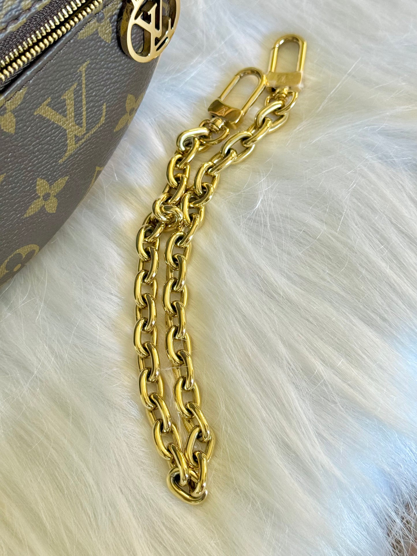 Louis Vuitton Loop PM Mono