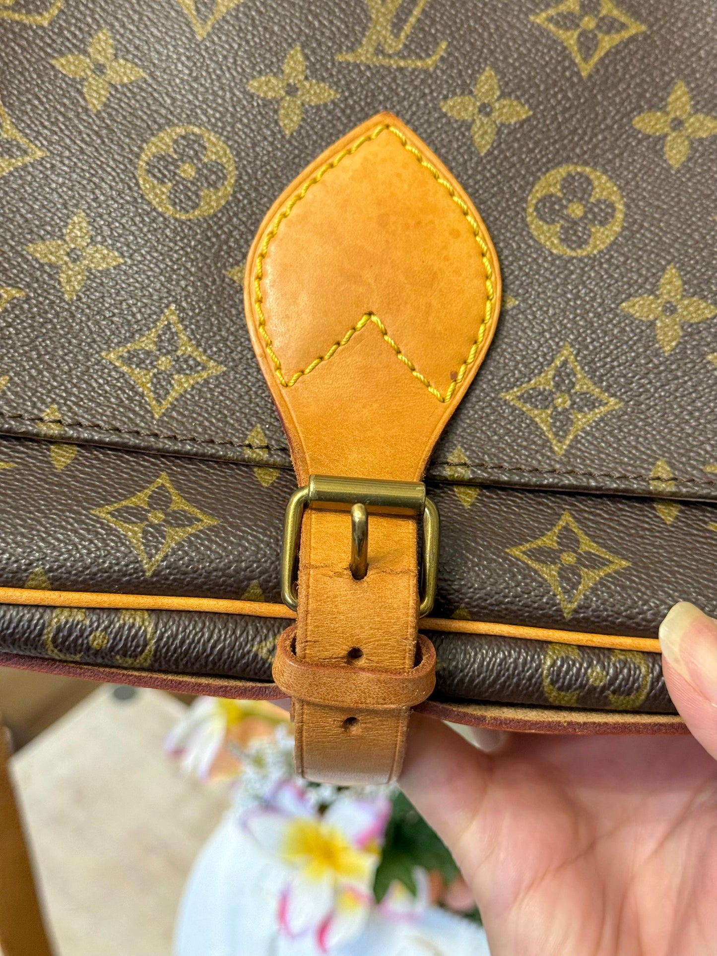 Louis Vuitton Cartouchiere GM Mono