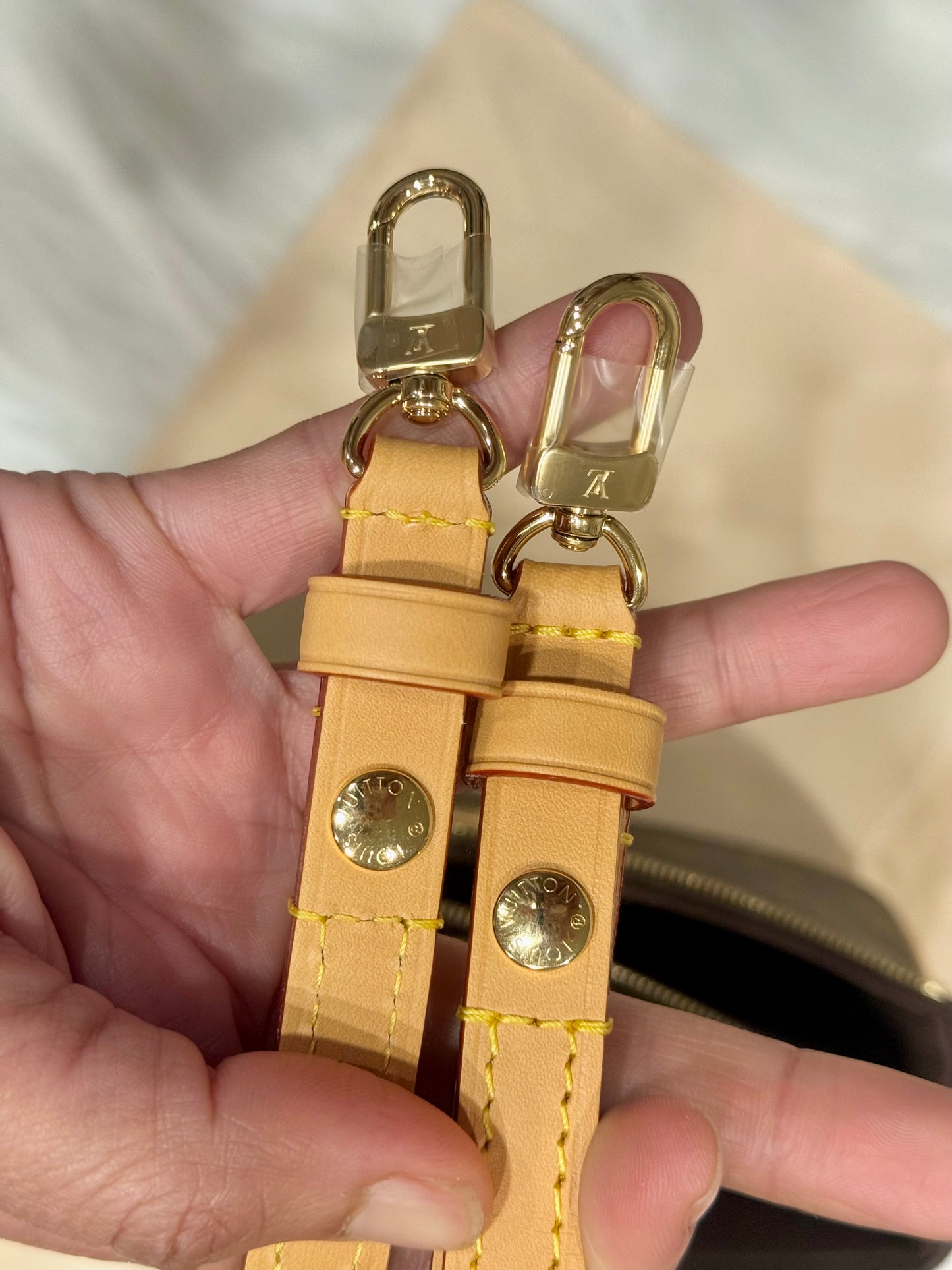 Louis Vuitton Pochette Liv Mono