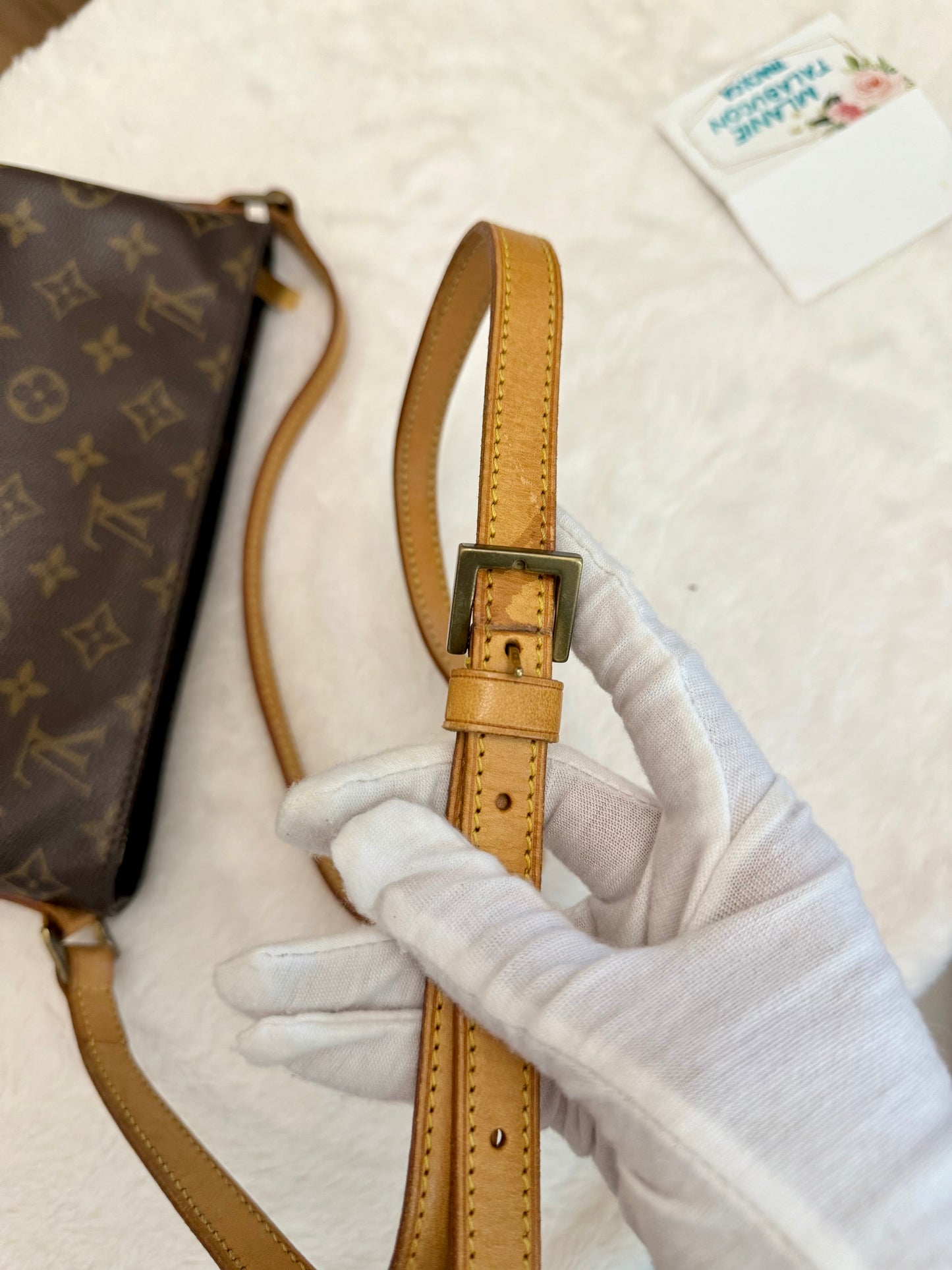 Louis Vuitton Trotteur Mono