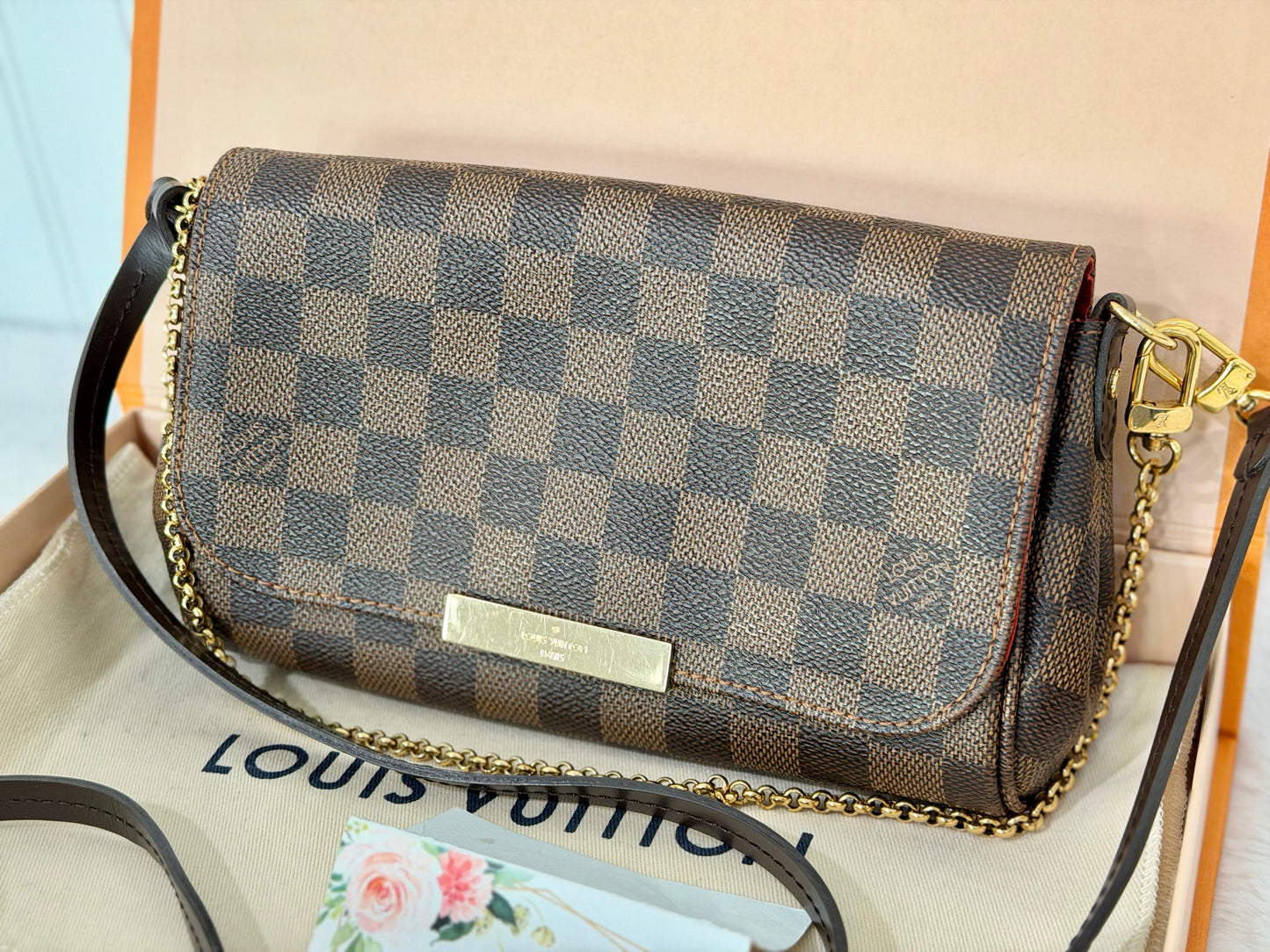 Louis Vuitton Favorite PM Damier Ebene