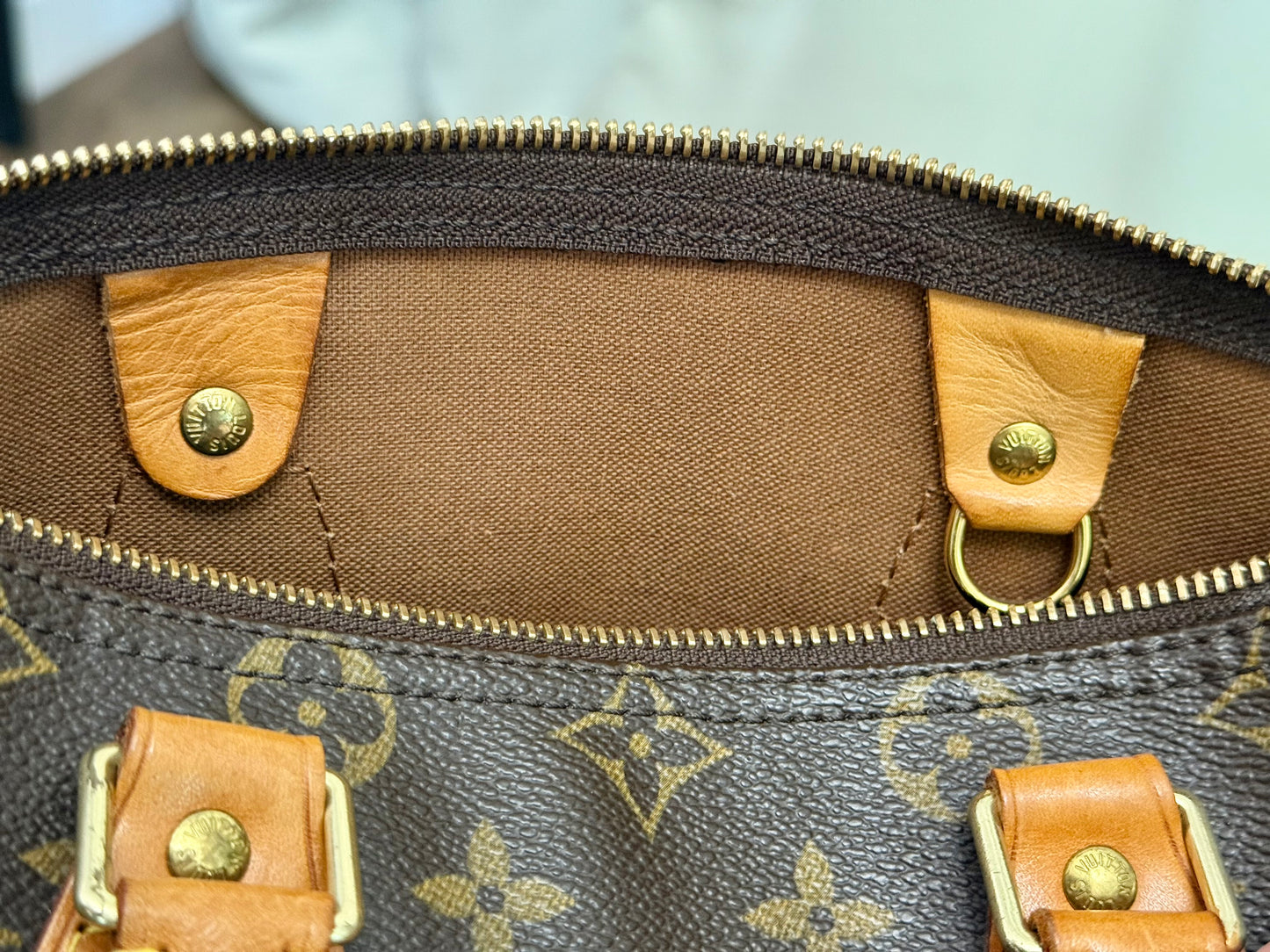 Louis Vuitton Speedy 25 Mono