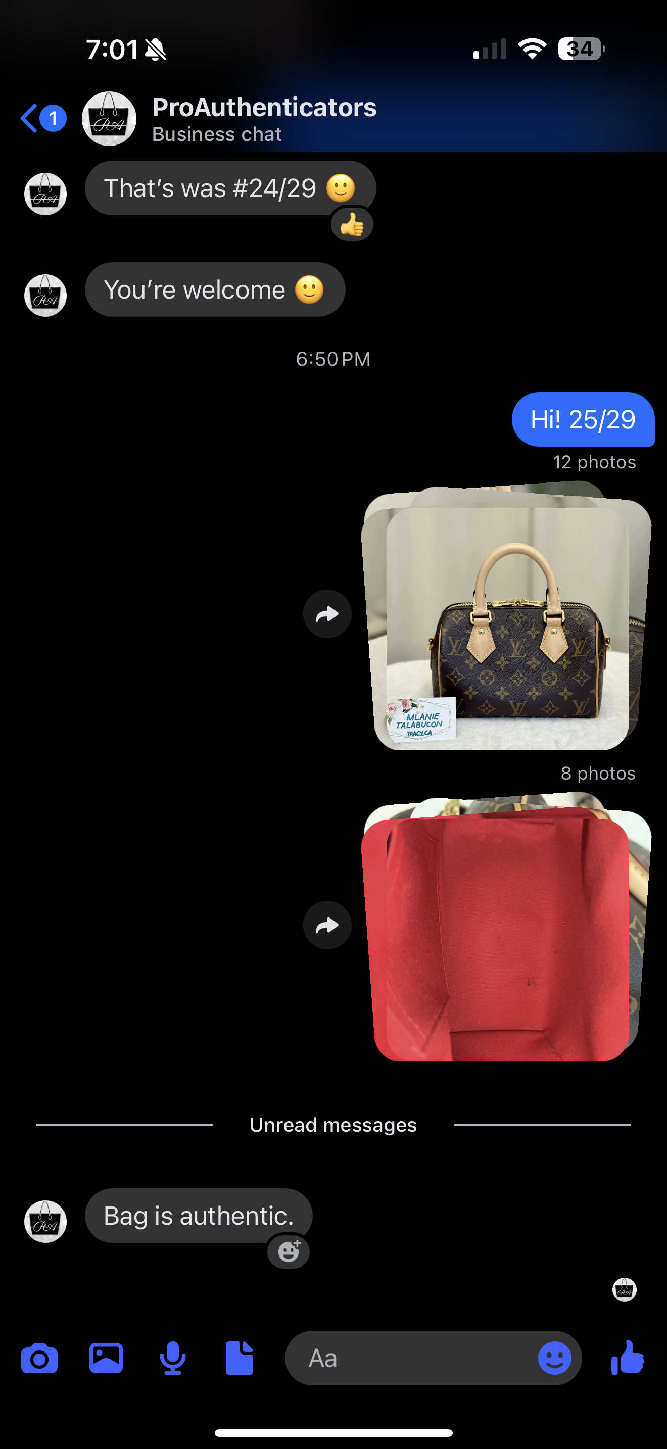Louis Vuitton Speedy 20 Mono Bag Only