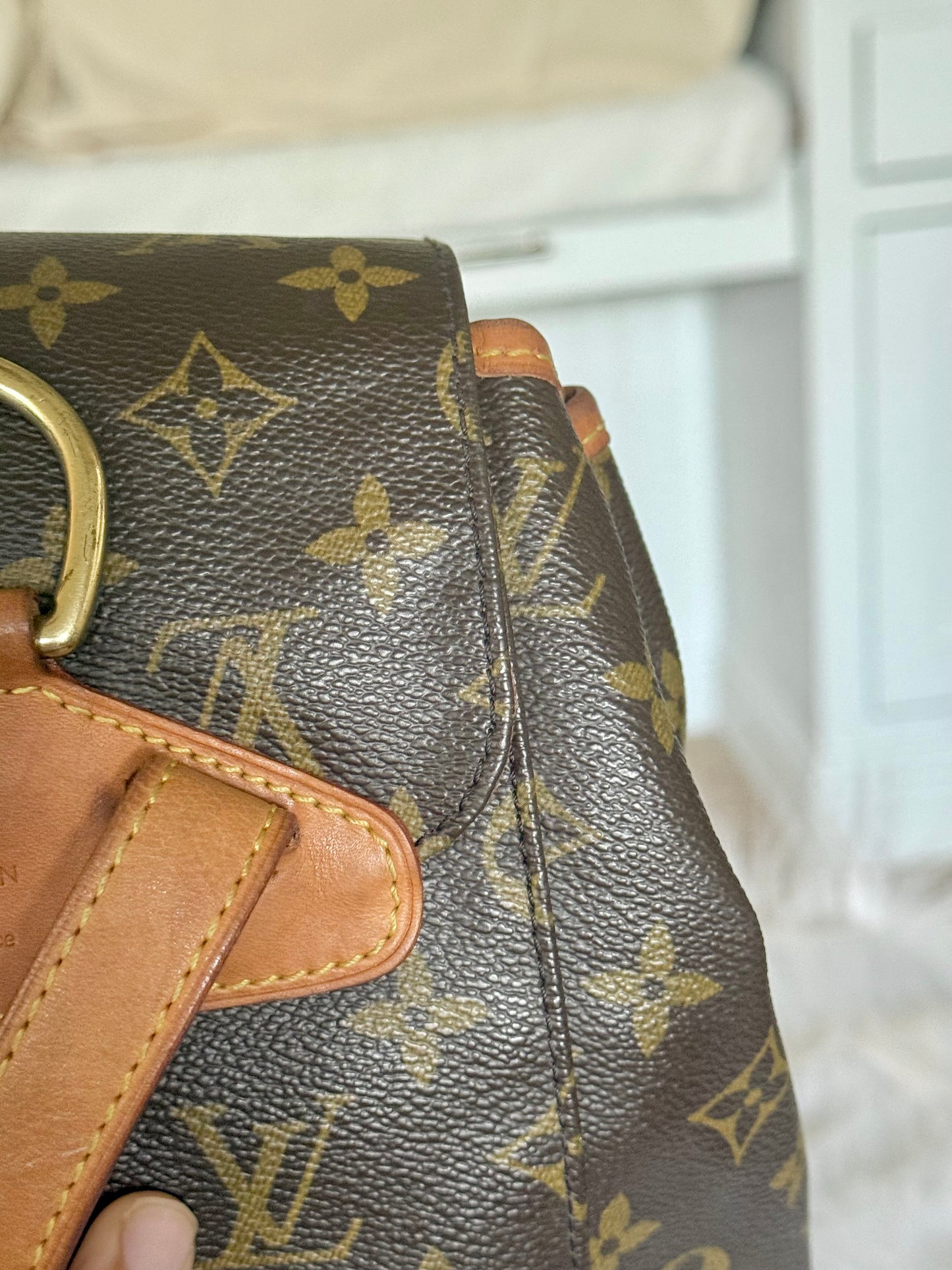 Louis Vuitton Montsouris PM Mono Old Model