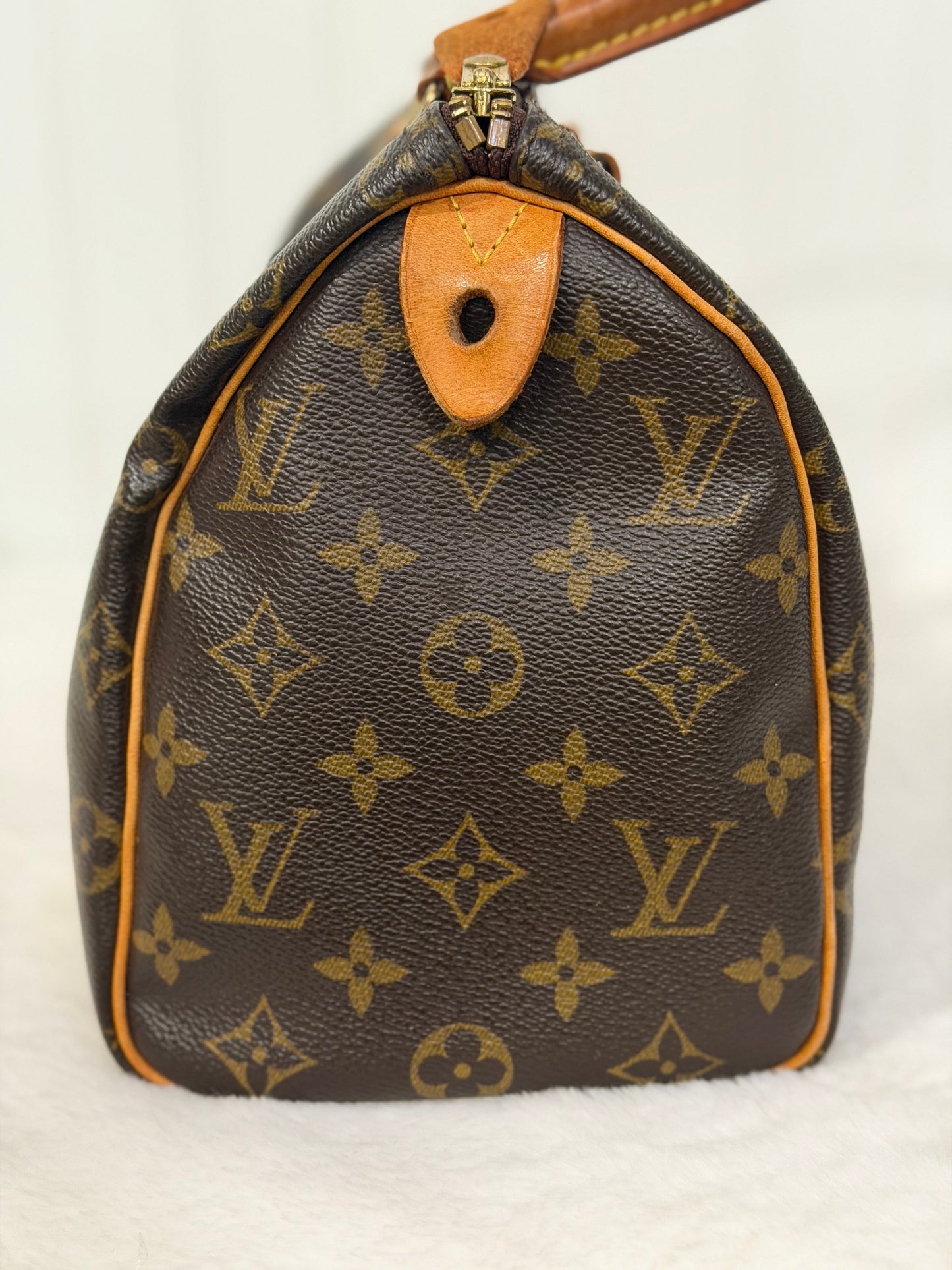 Louis Vuitton Speedy 25 Mono