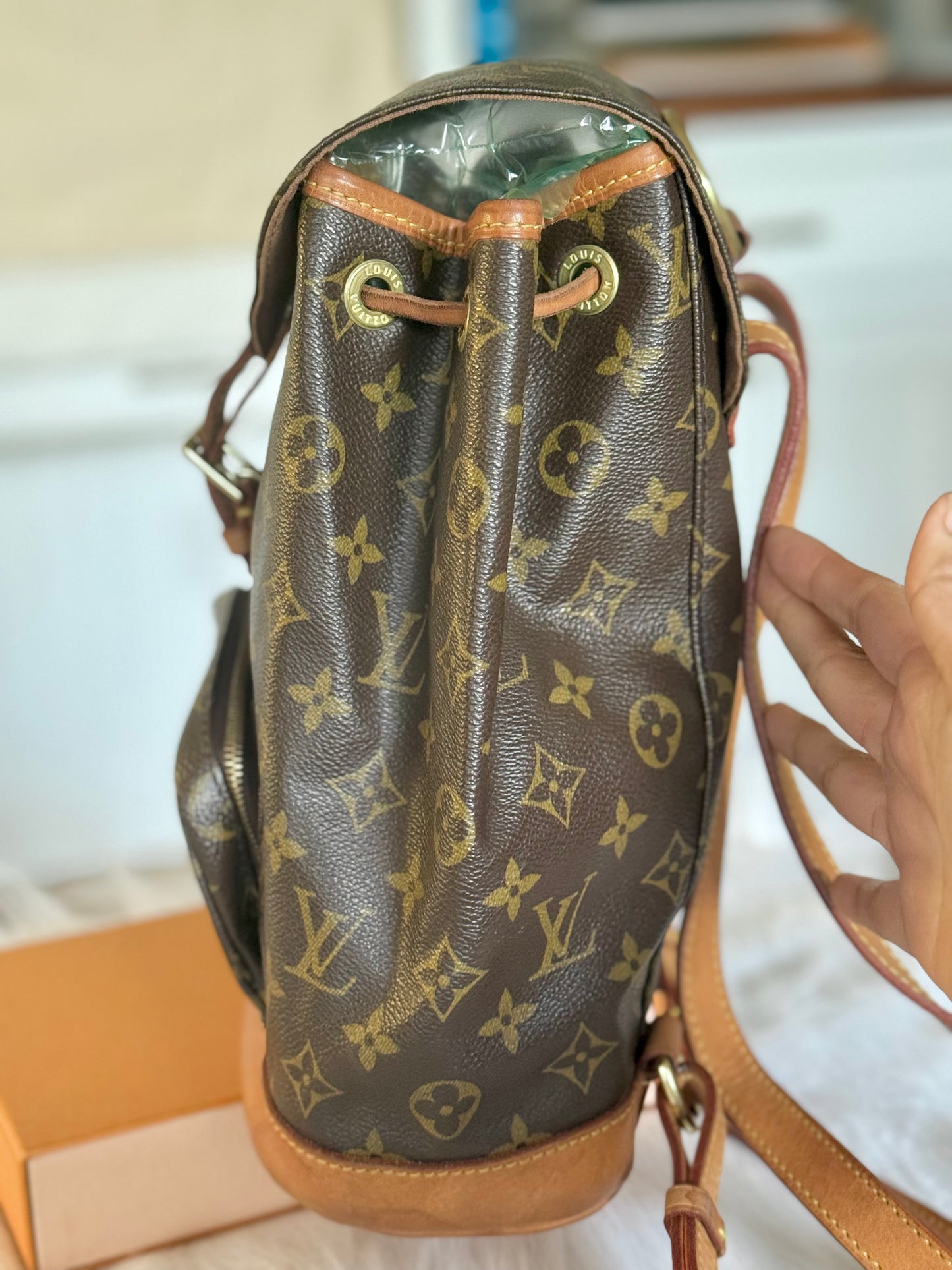 Louis Vuitton Montsouris PM Mono Old Model