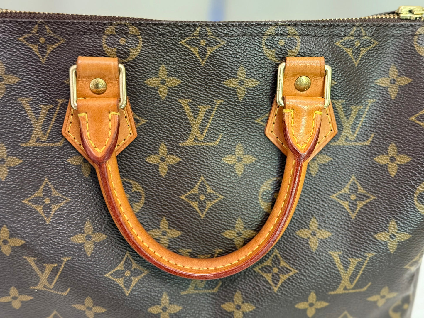 Louis Vuitton Speedy 25 Mono