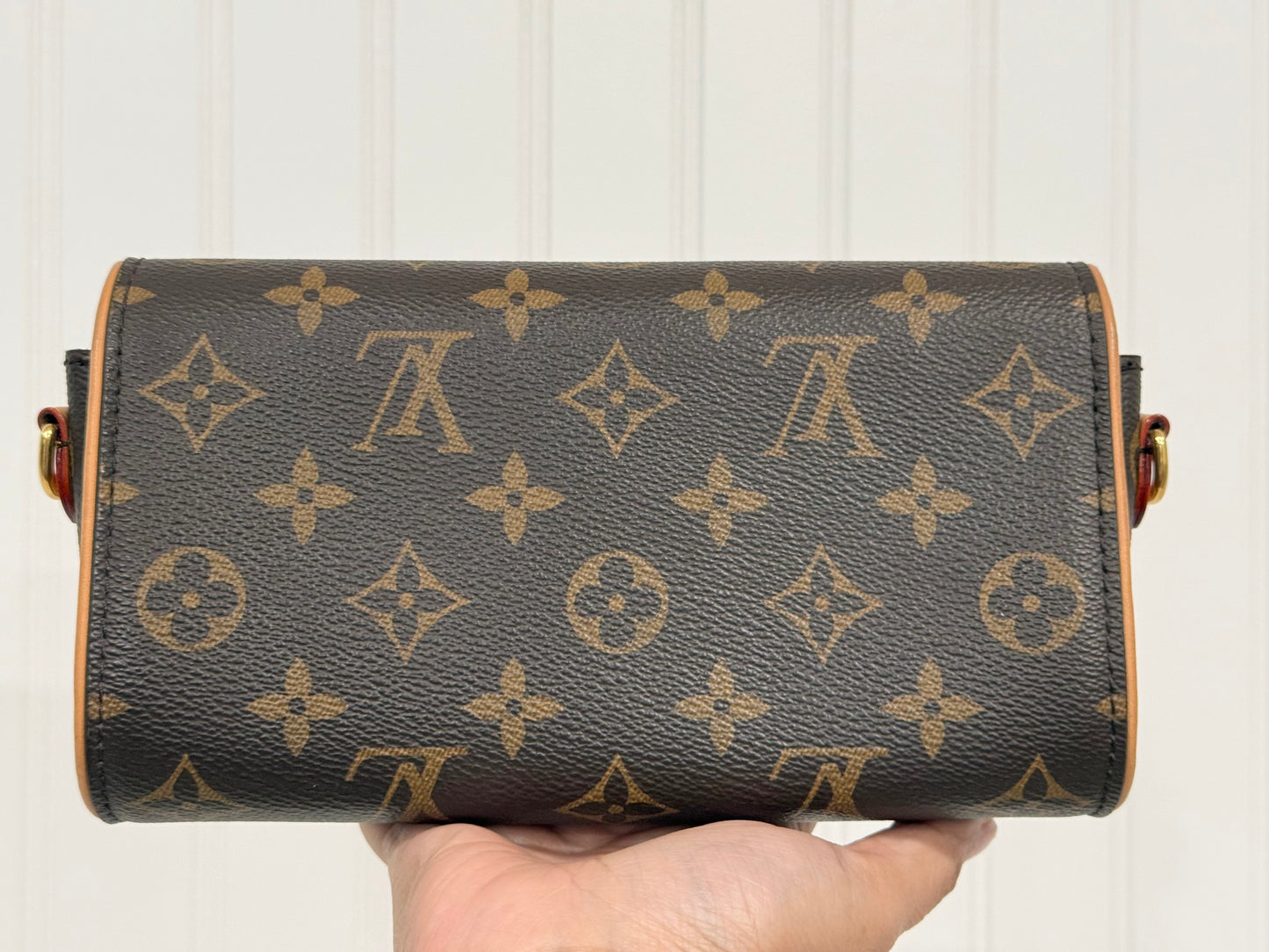 Louis Vuitton Pochette Camille