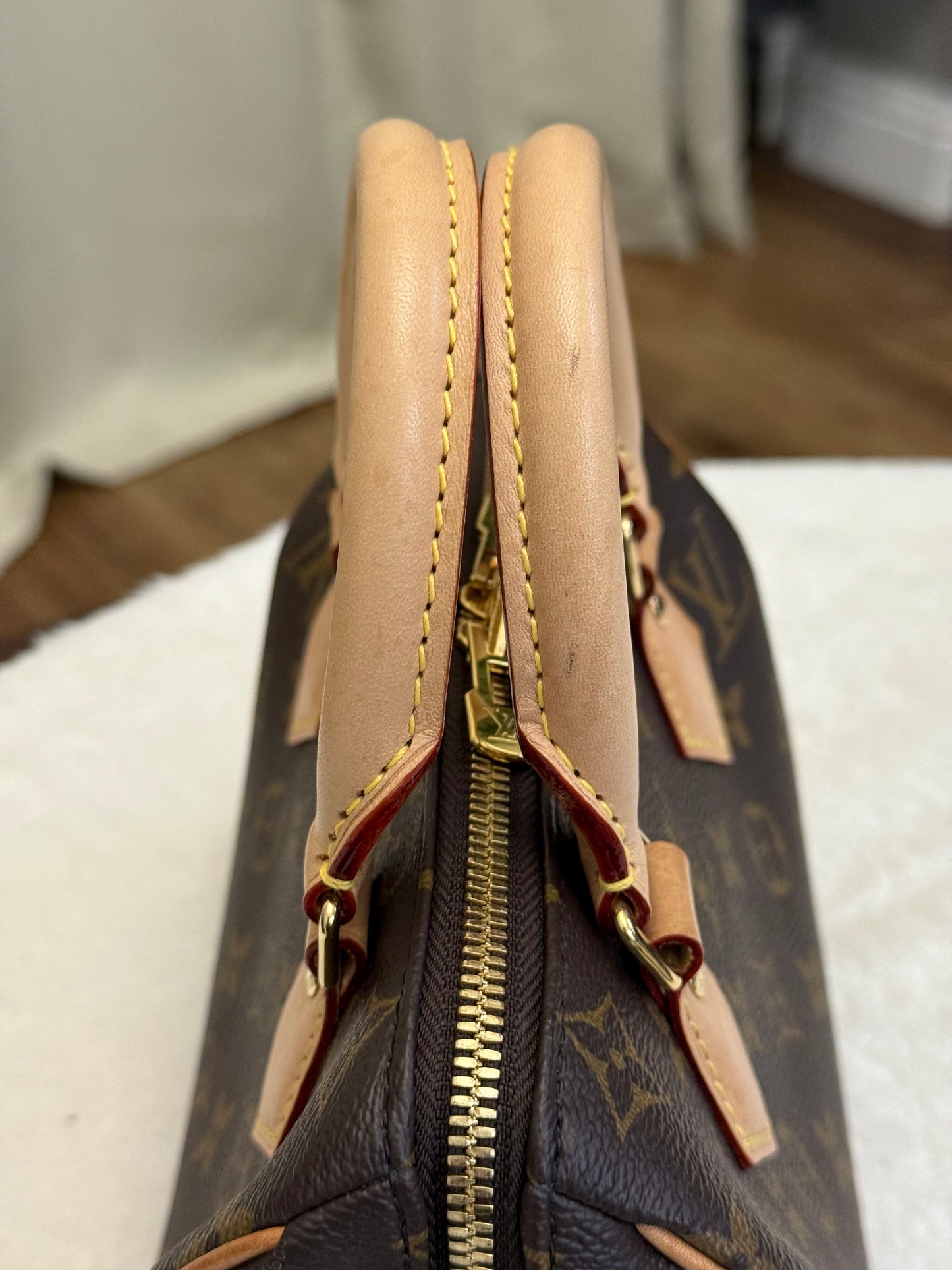 Louis Vuitton Speedy 20 Mono Bag Only