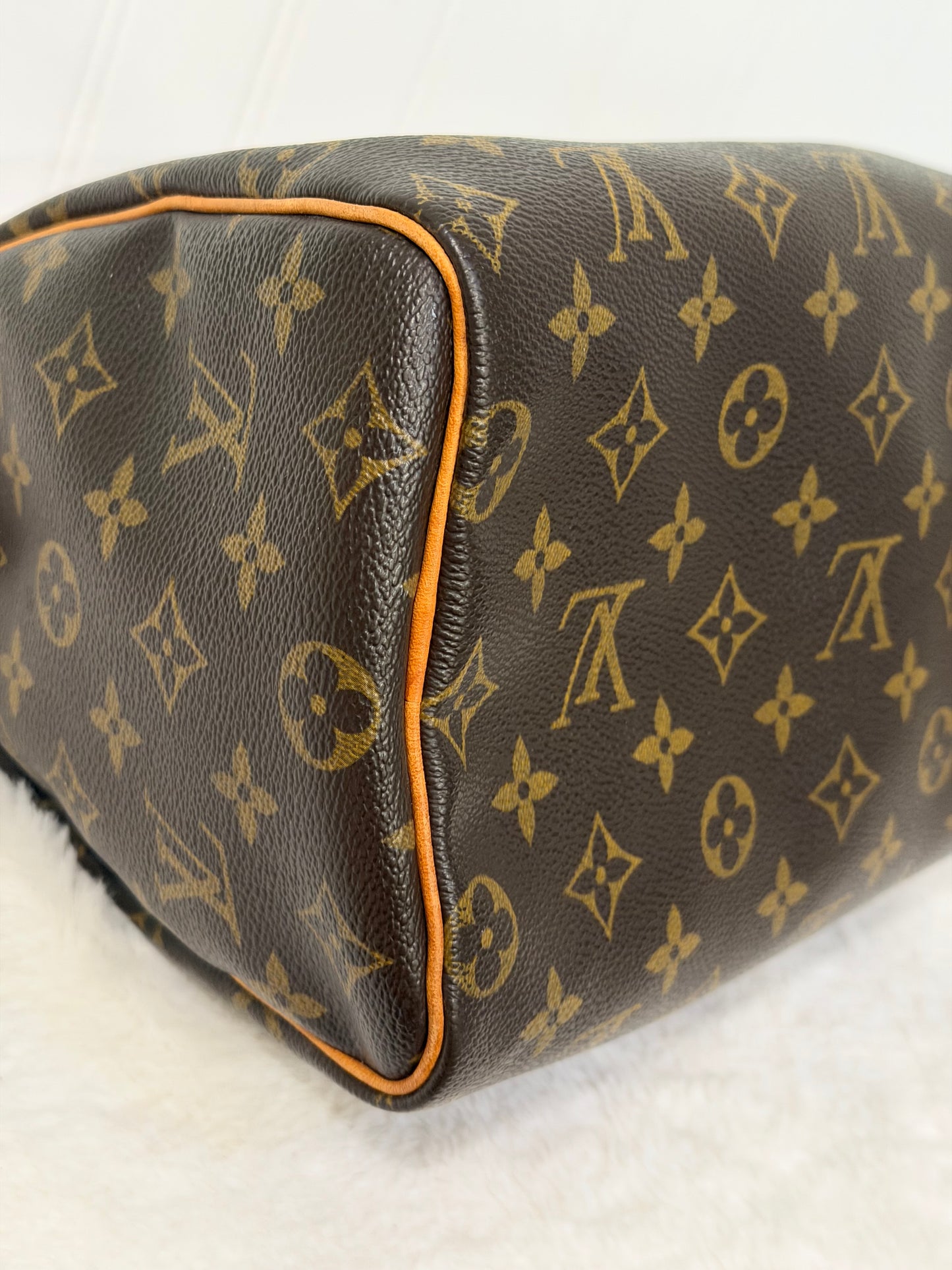 Louis Vuitton Speedy 25 Mono