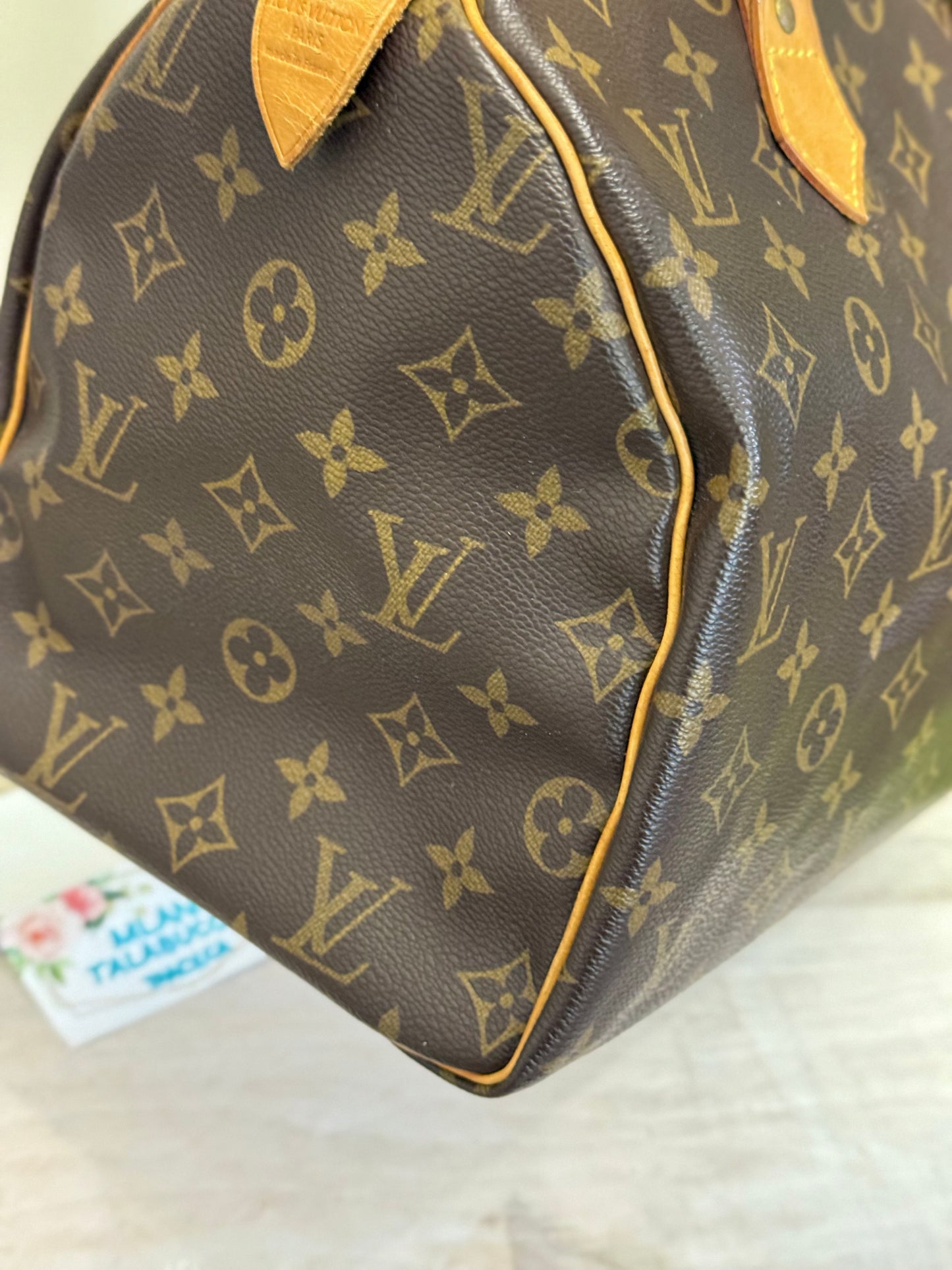 Louis Vuitton Speedy 30 Mono