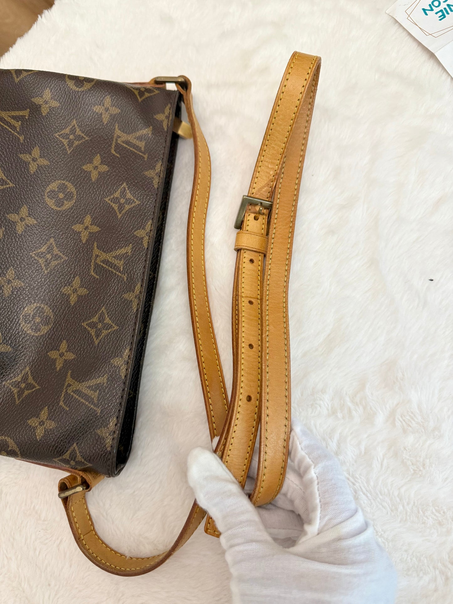 Louis Vuitton Trotteur Mono