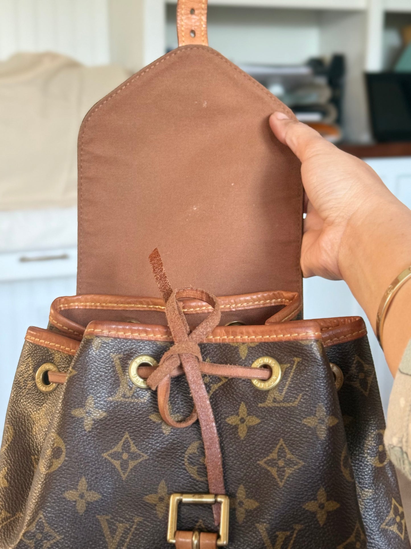 Louis Vuitton Montsouris PM Mono Old Model