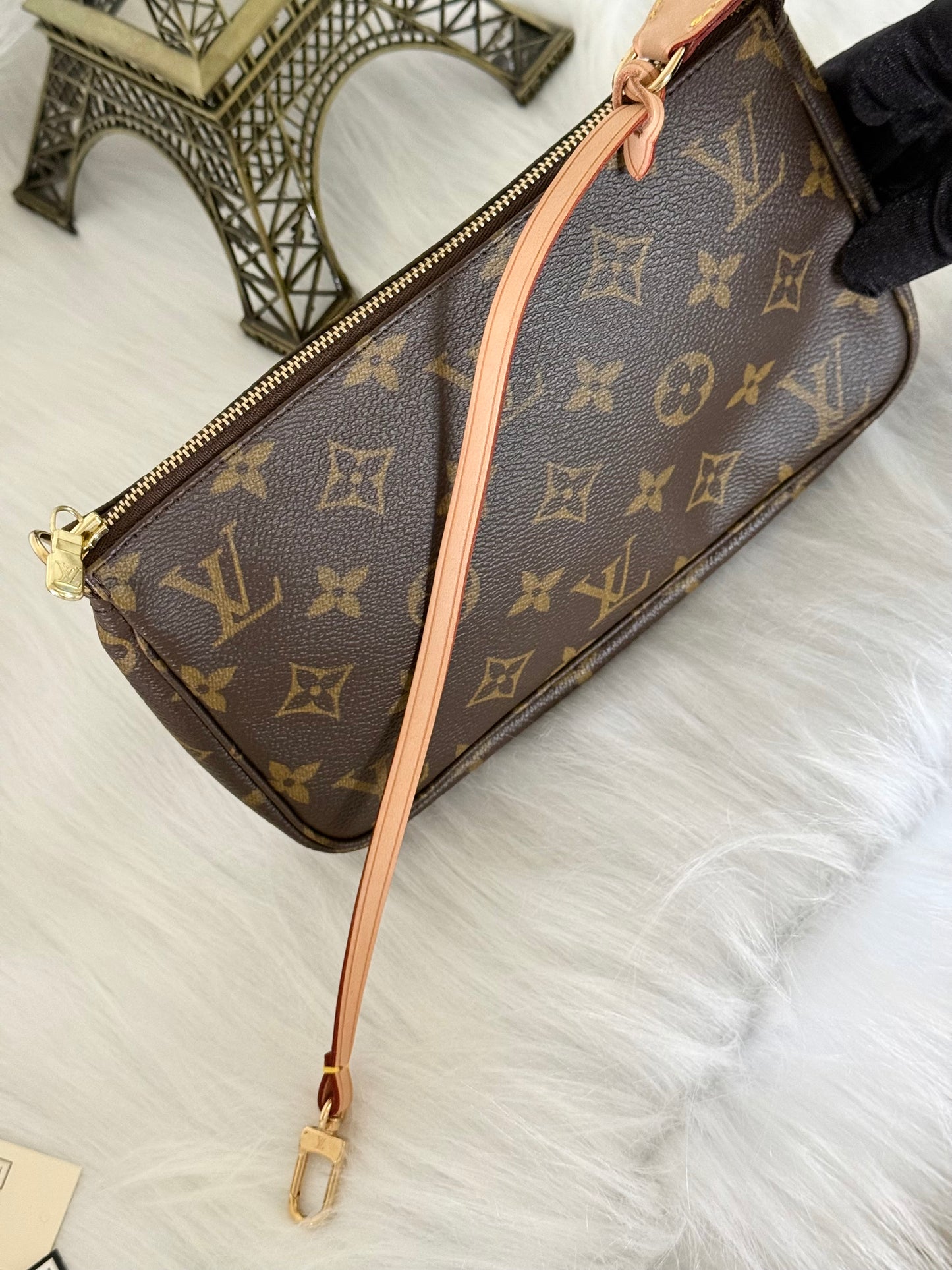 Louis Vuitton Pochette Accessoires Old Model Mono