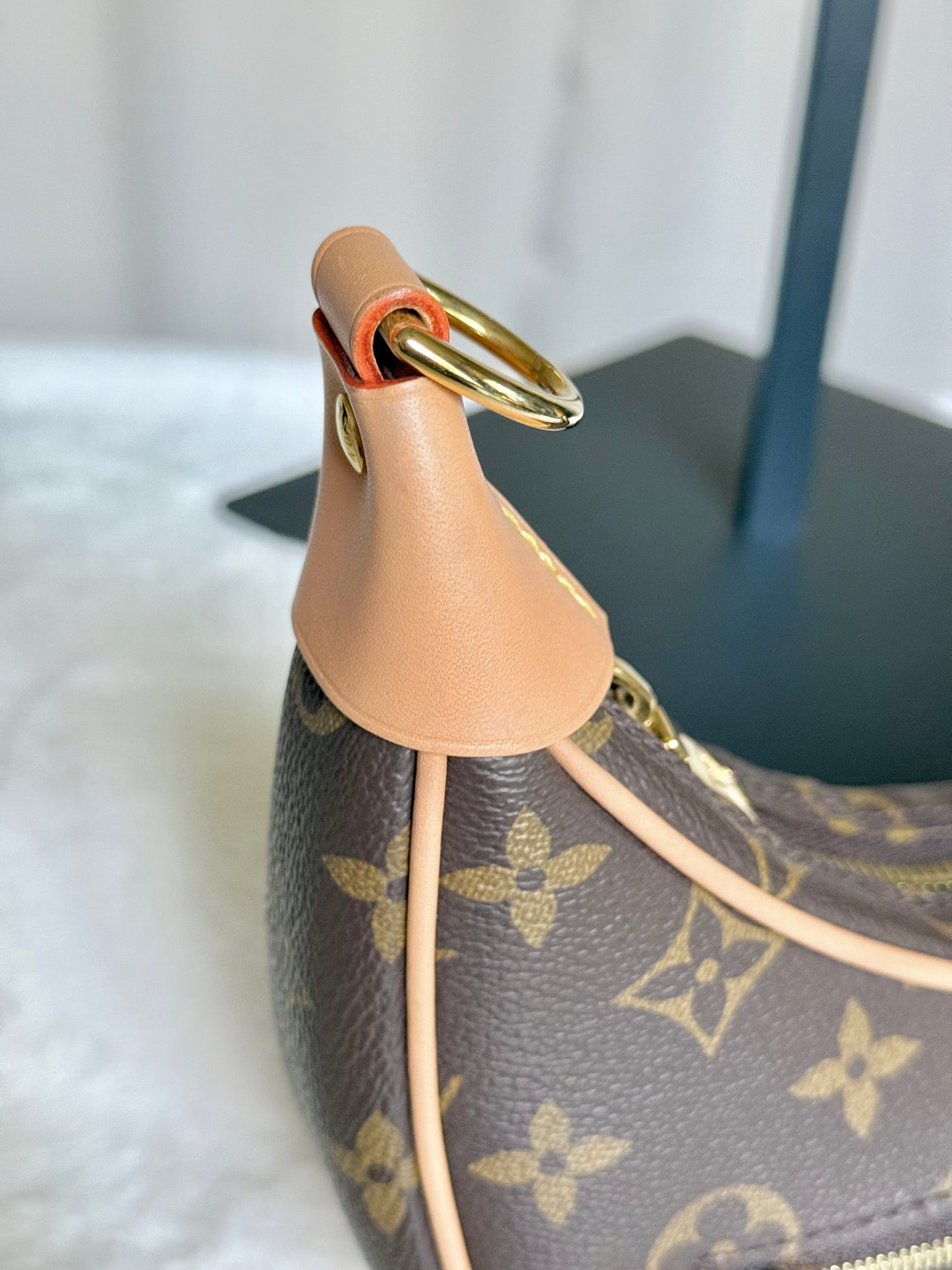 Louis Vuitton Loop PM Mono