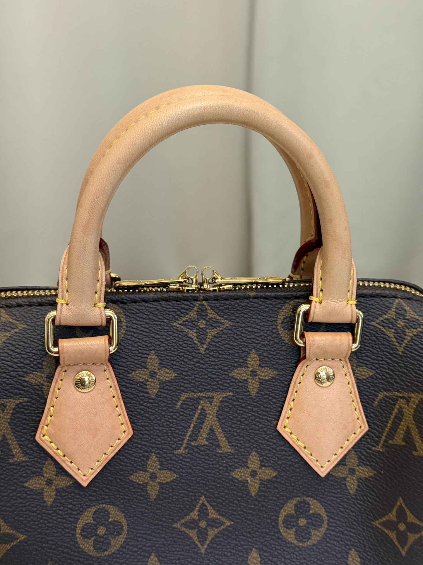 Louis Vuitton Speedy 20 Mono Bag Only