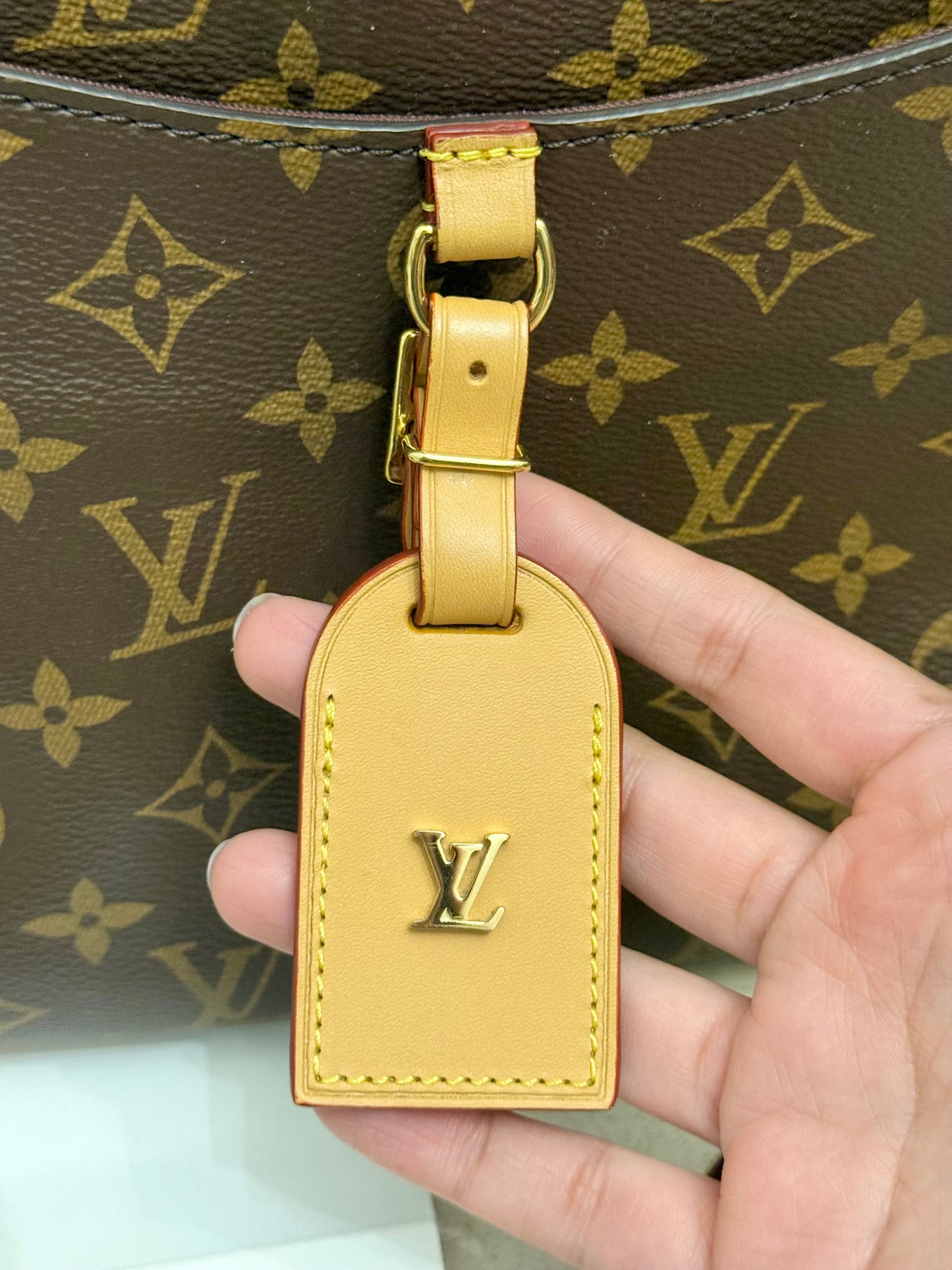 Louis Vuitton Odeon PM Naturale