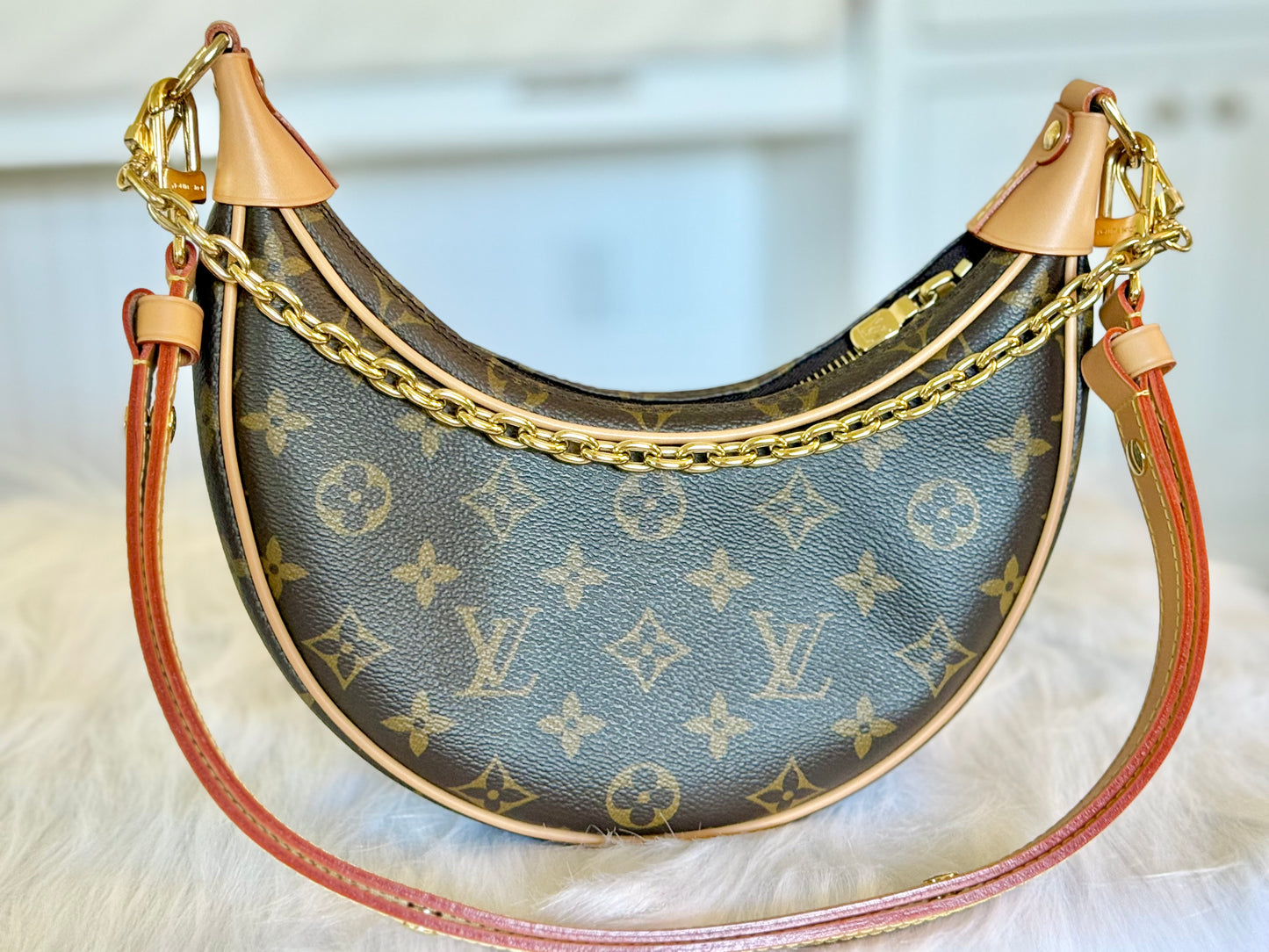 Louis Vuitton Loop PM Mono
