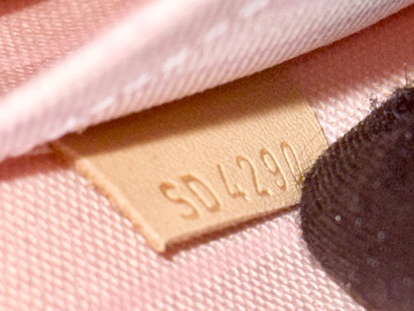 Louis Vuitton Neverfull MM/GM Damier Azur Rose Ballerine Pouch