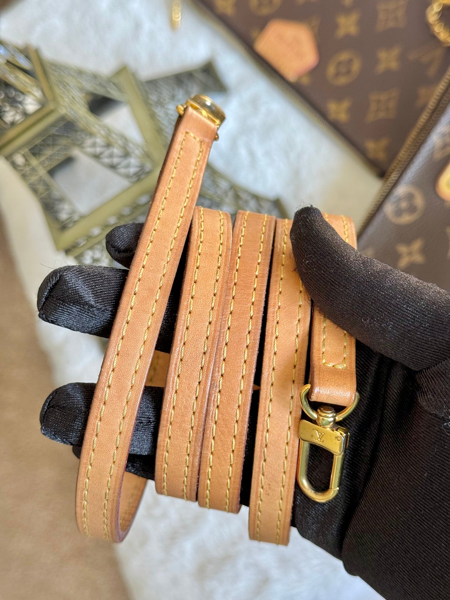 Louis Vuitton Eva Pochette Mono