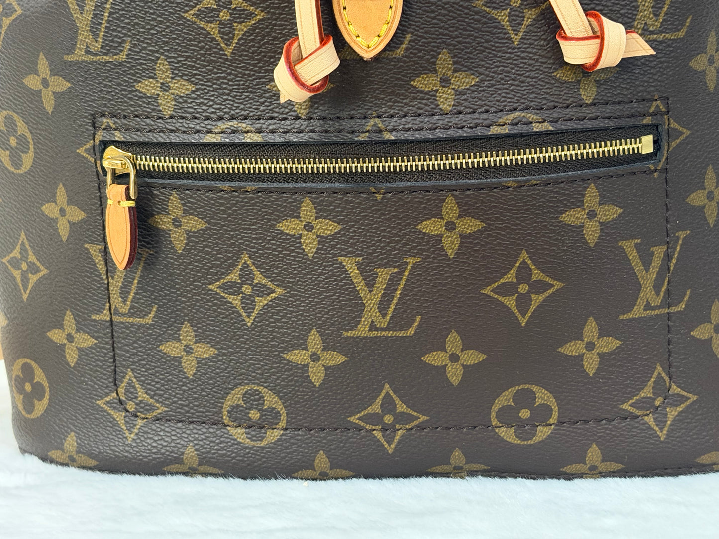 Louis Vuitton Montsouris NM Mono Backpack