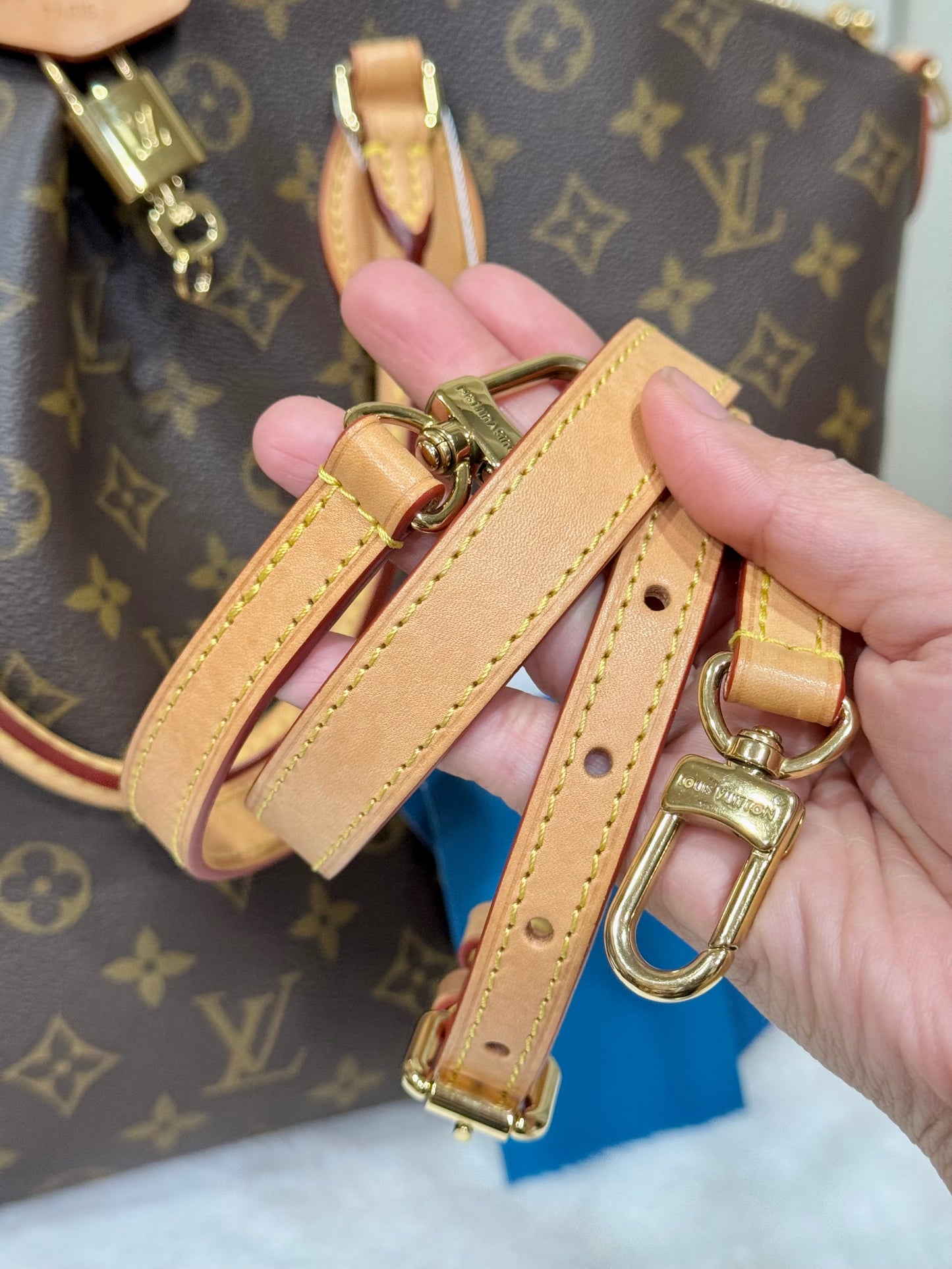 Louis Vuitton Boetie NM MM Mono