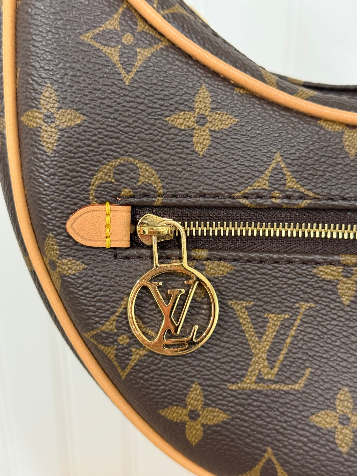 Louis Vuitton Loop PM Mono