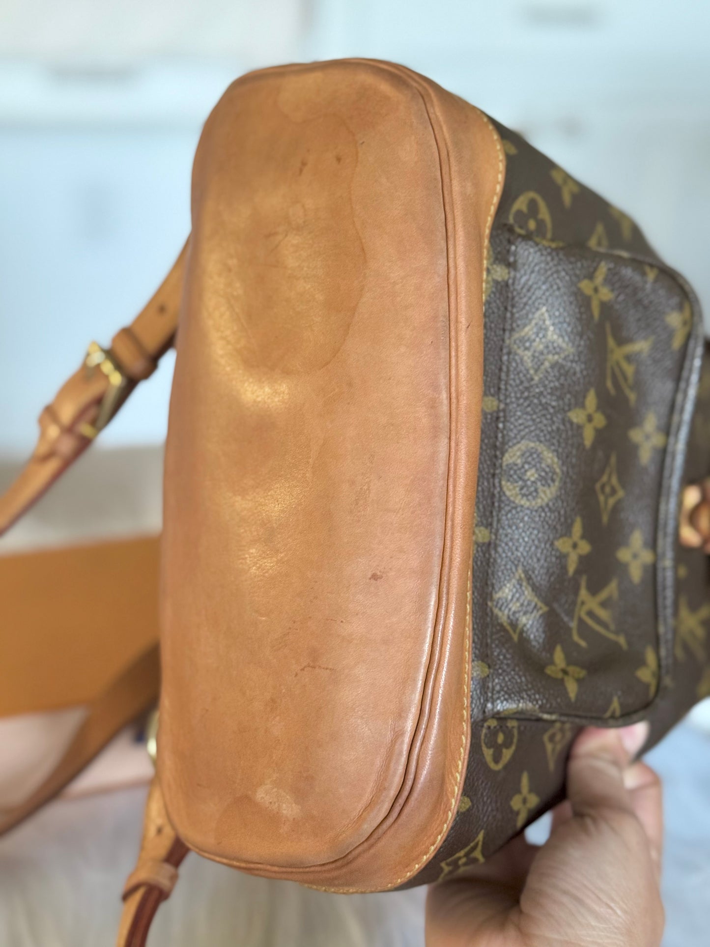 Louis Vuitton Montsouris PM Mono Old Model