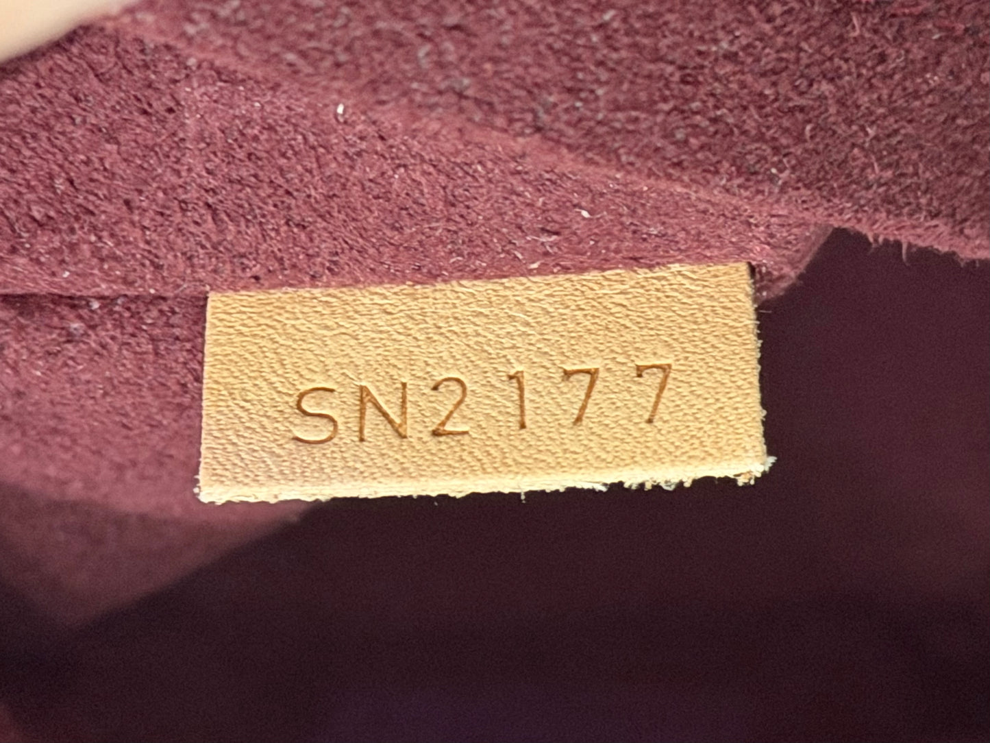 Louis Vuitton Montsouris NM Mono Backpack