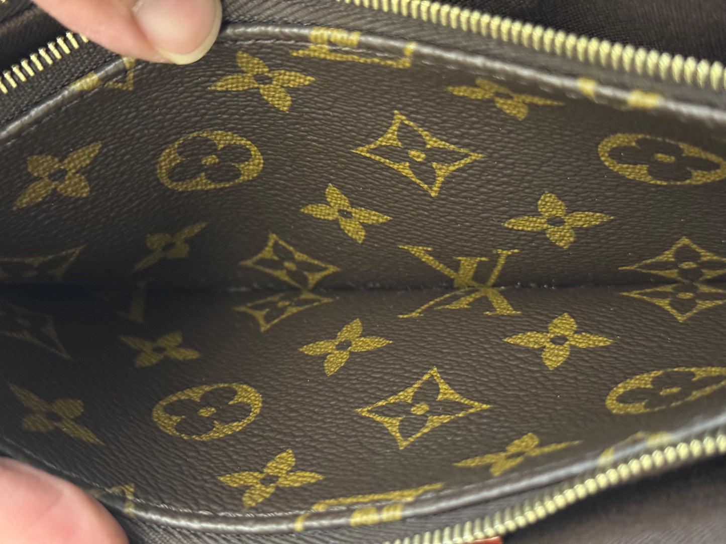 Louis Vuitton Pochette Liv Mono