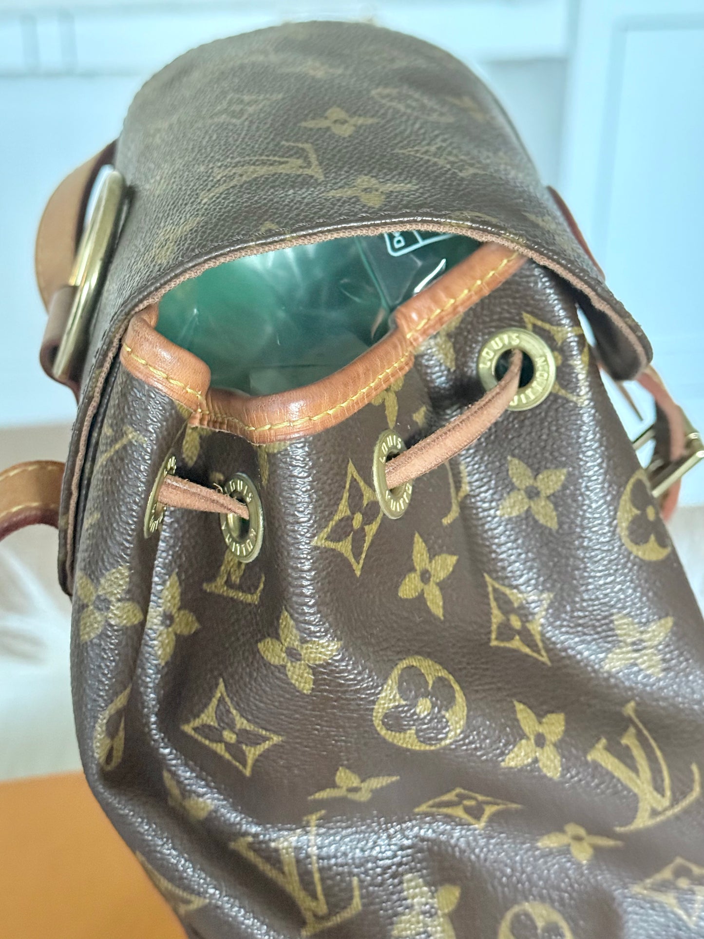 Louis Vuitton Montsouris PM Mono Old Model