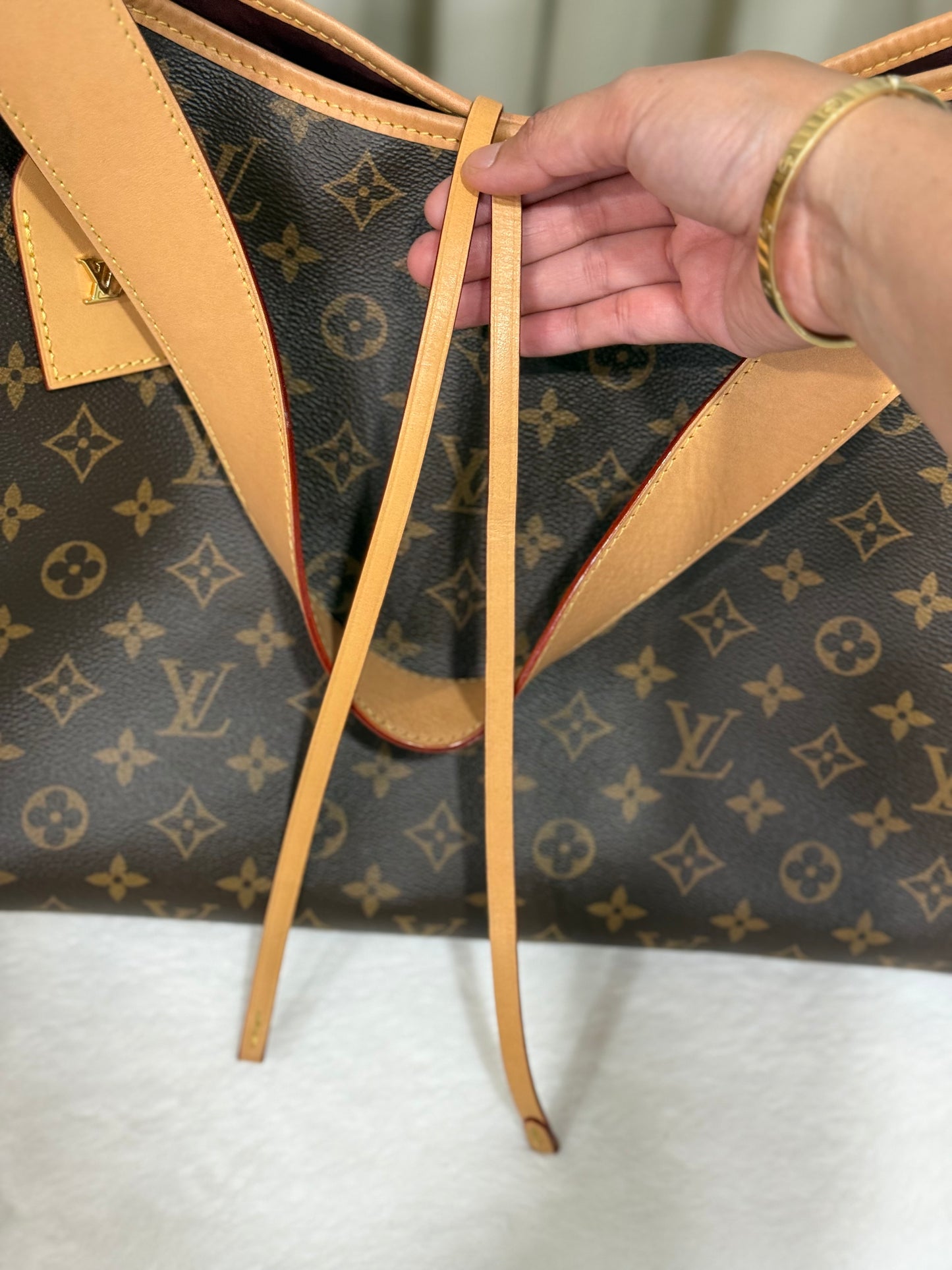 Louis Vuitton Carryall MM Mono (Bag Only)