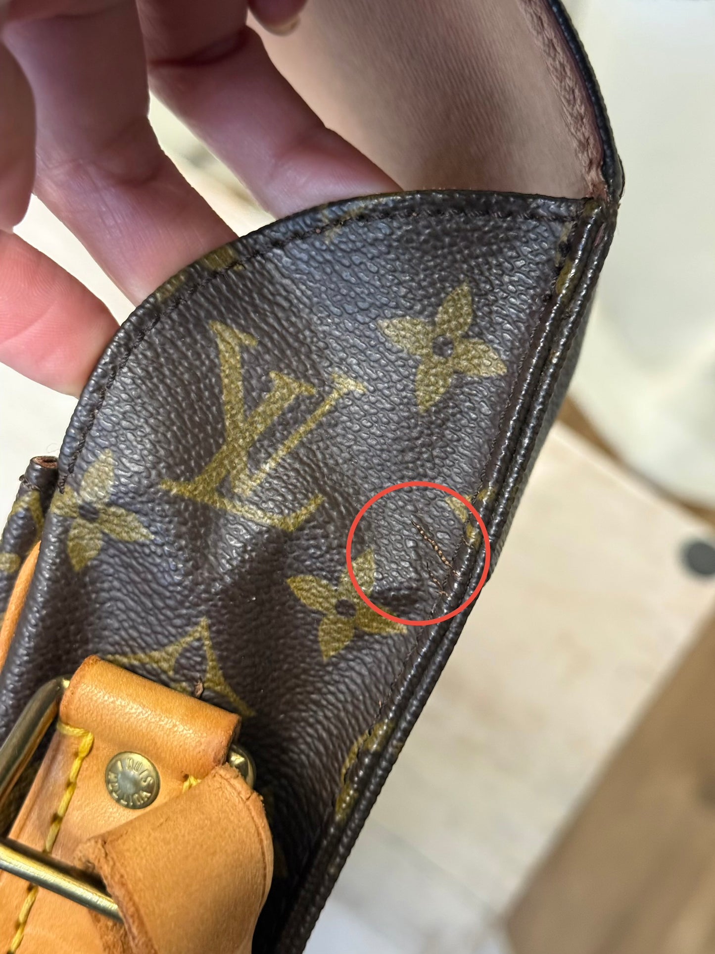 Louis Vuitton Cartouchiere GM Mono