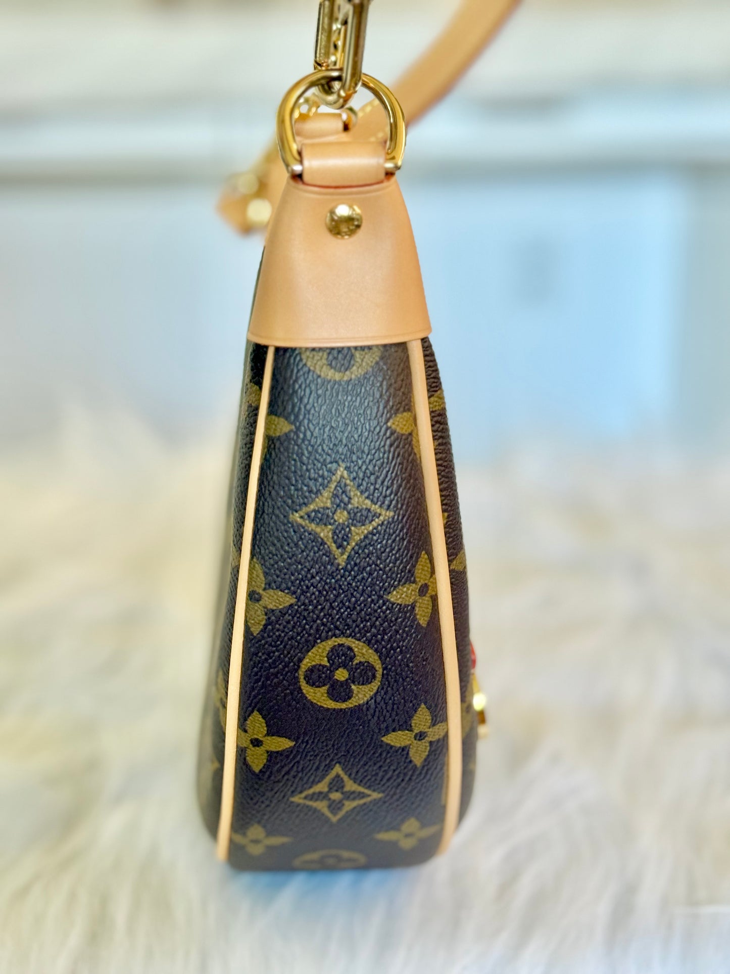 Louis Vuitton Loop PM Mono