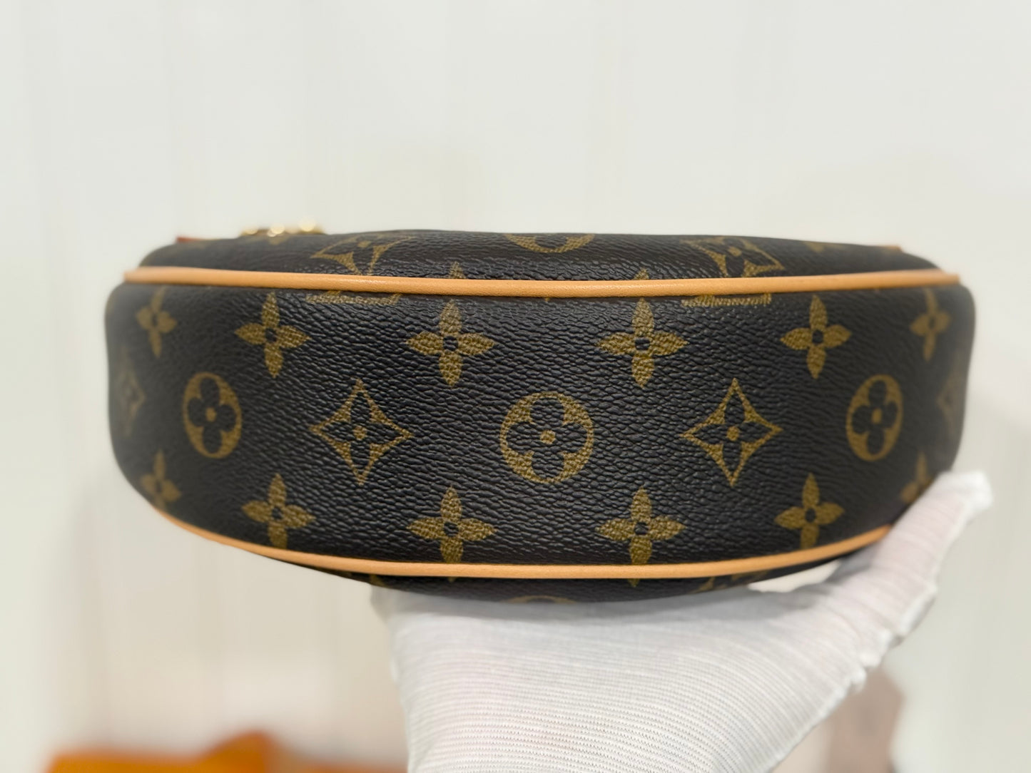 Louis Vuitton Loop PM Mono