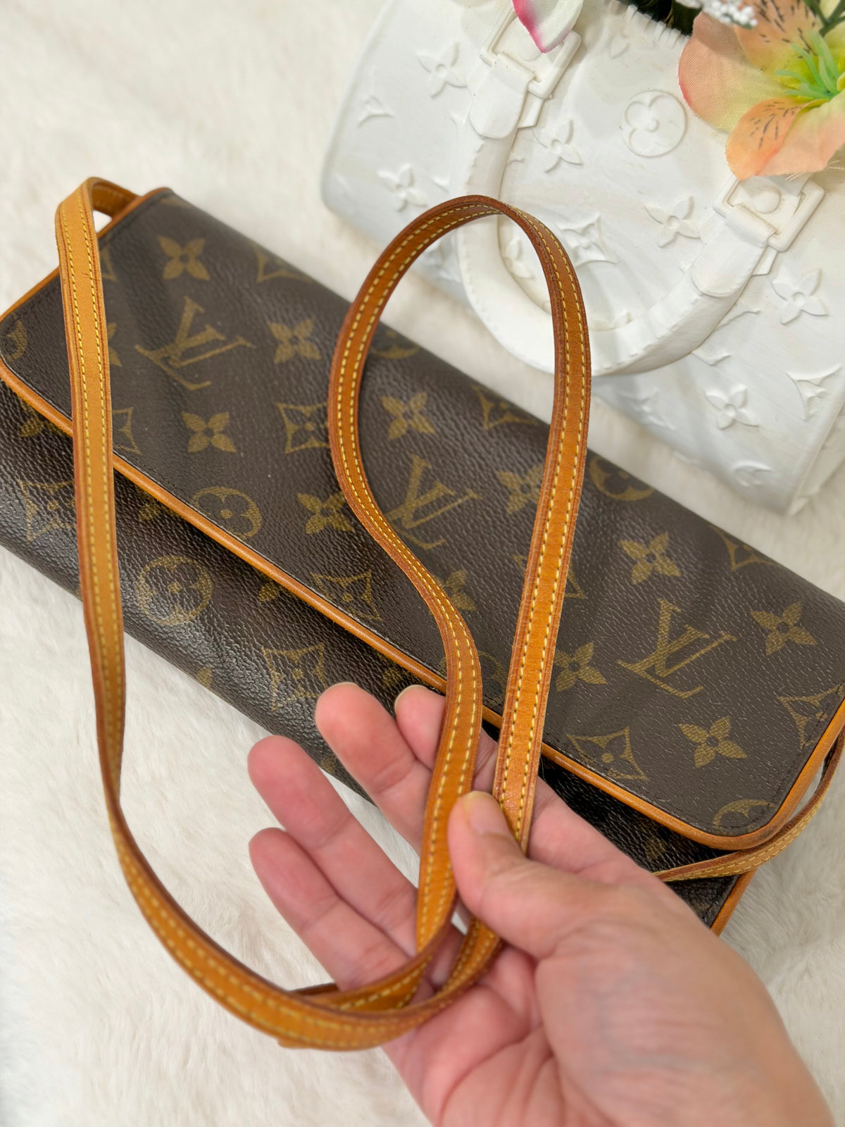 Louis Vuitton Twin Pochette GM Mono