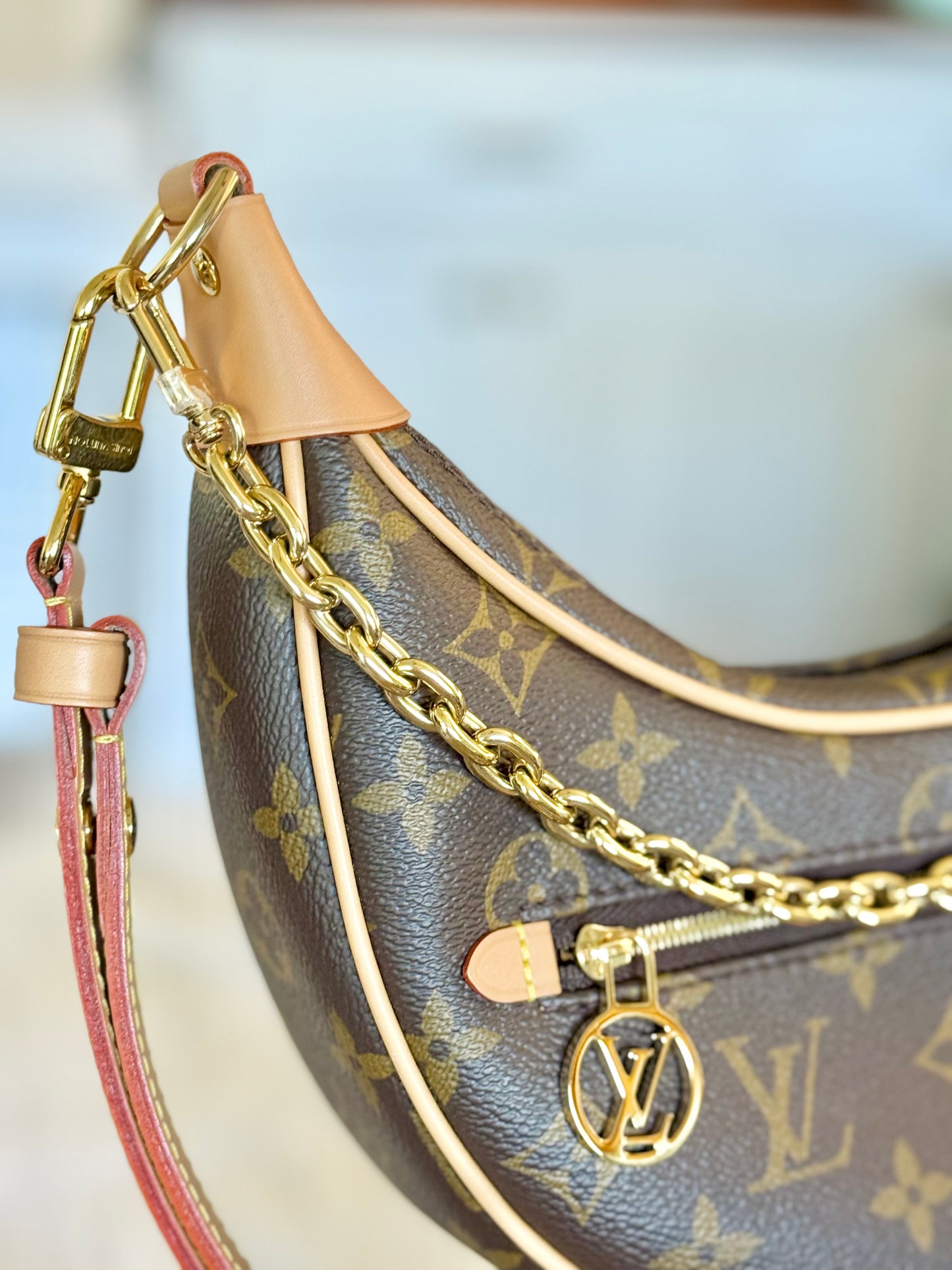 Louis Vuitton Loop PM Mono