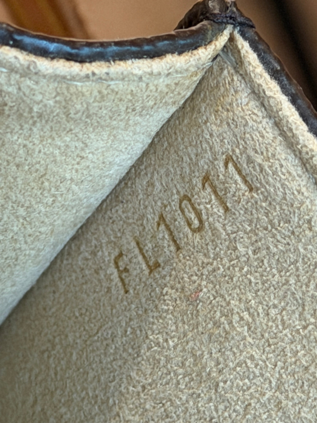 Louis Vuitton Twin Pochette GM Mono