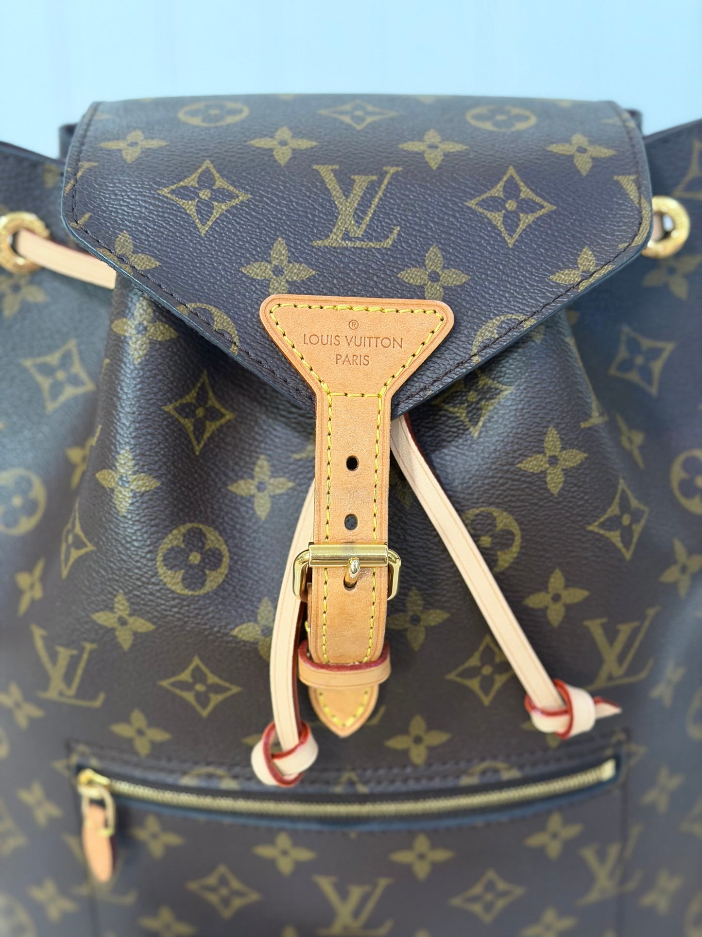 Louis Vuitton Montsouris NM Mono Backpack