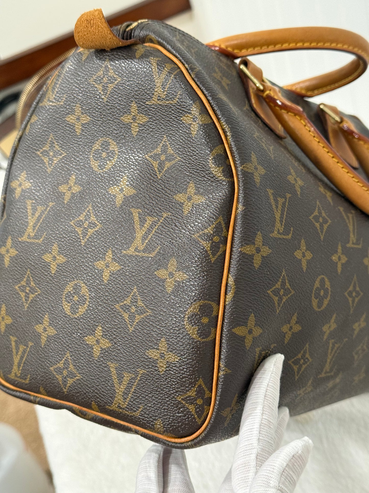 Louis Vuitton Speedy 30 Mono