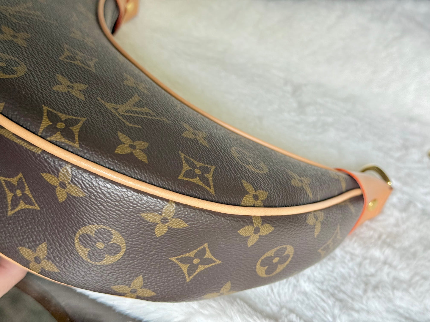 Louis Vuitton Loop PM Mono