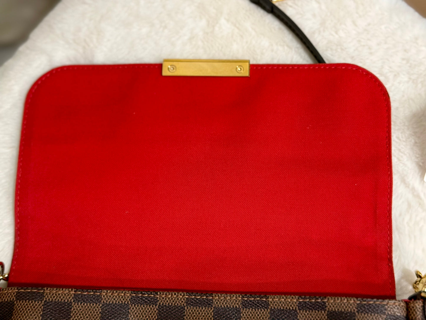 Louis Vuitton Favorite MM Damier Ebene