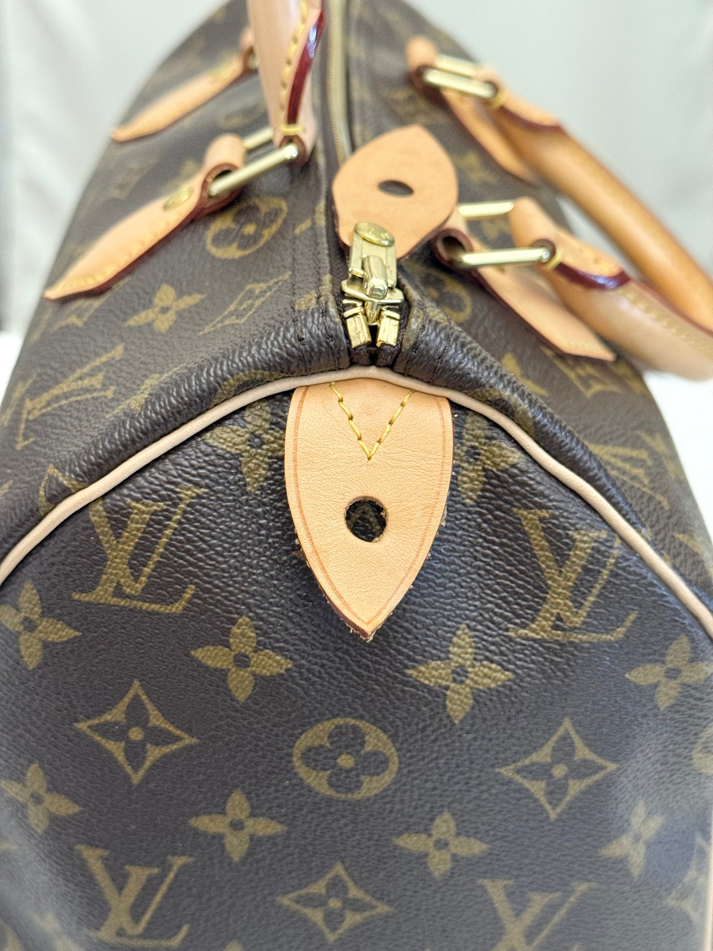 Louis Vuitton Speedy 30 Mono