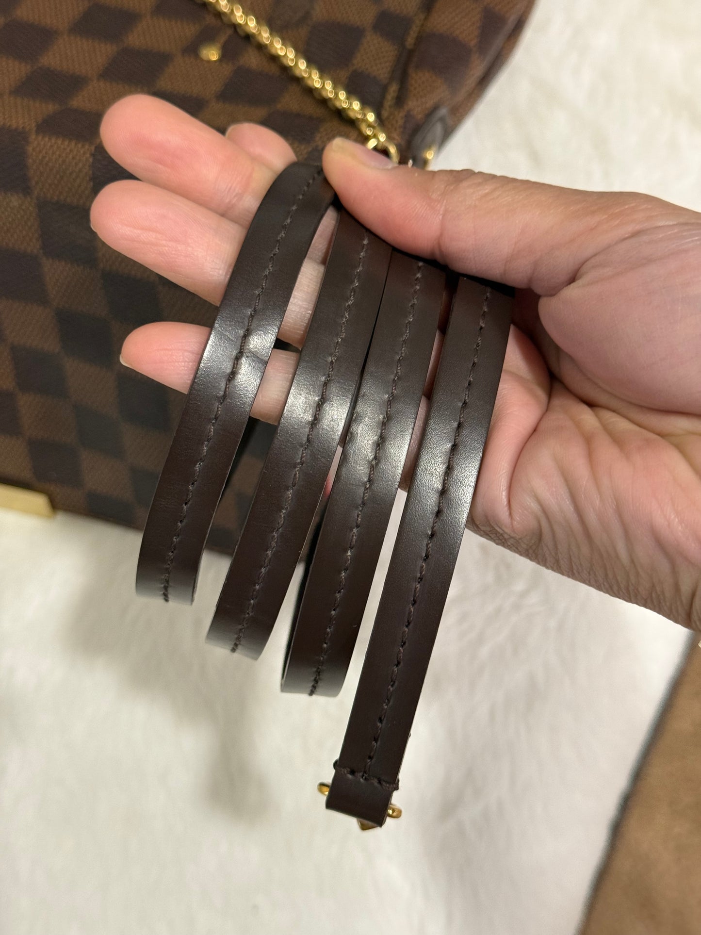 Louis Vuitton Favorite MM Damier Ebene
