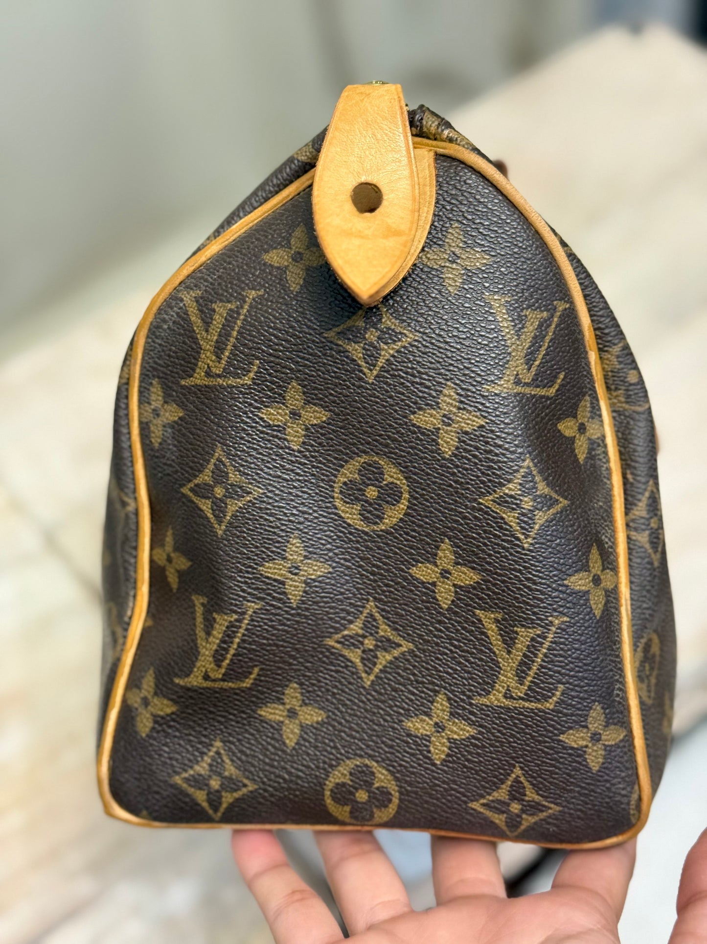 Louis Vuitton Speedy 25 Mono