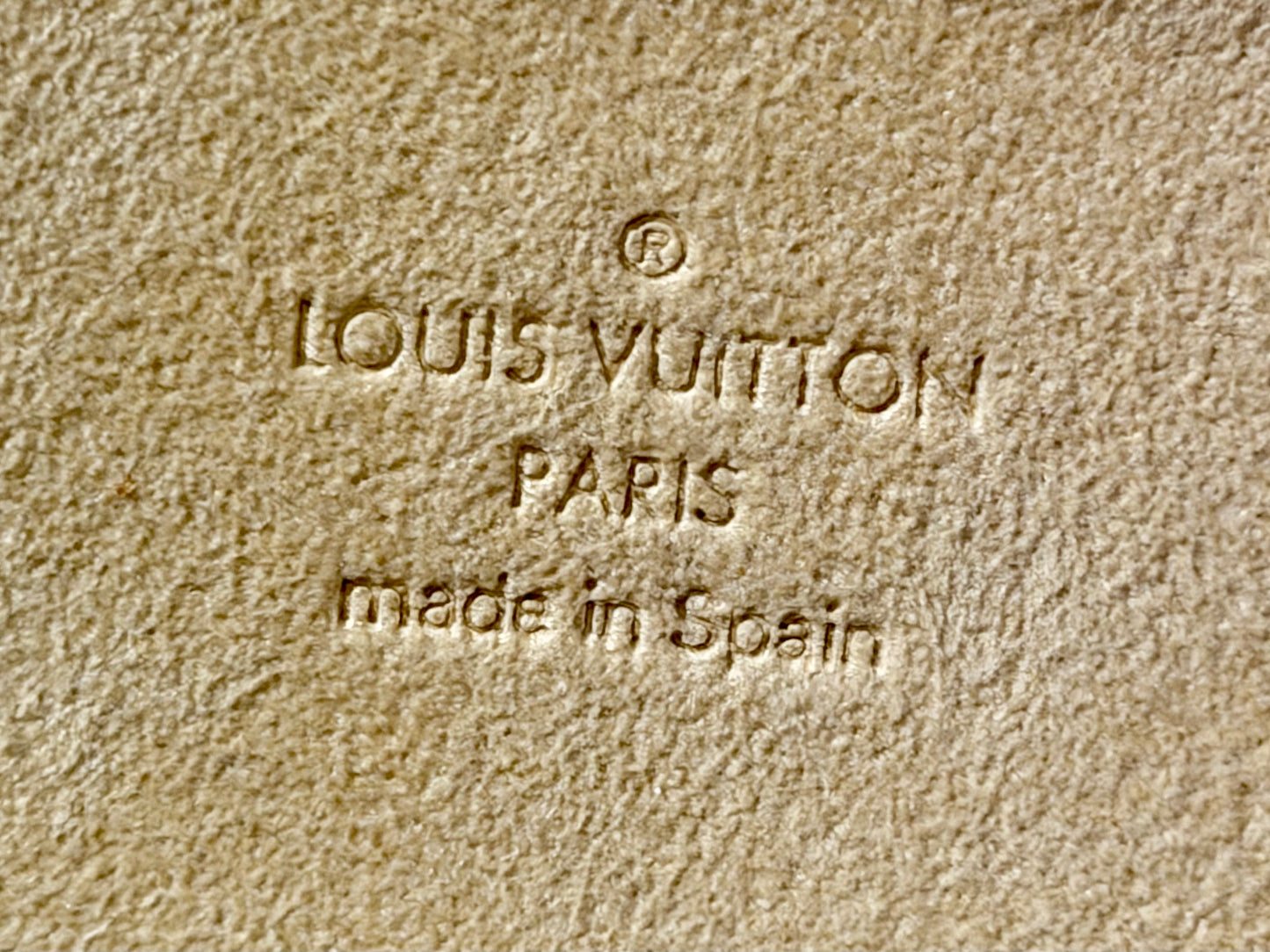Louis Vuitton Twin Pochette GM Mono