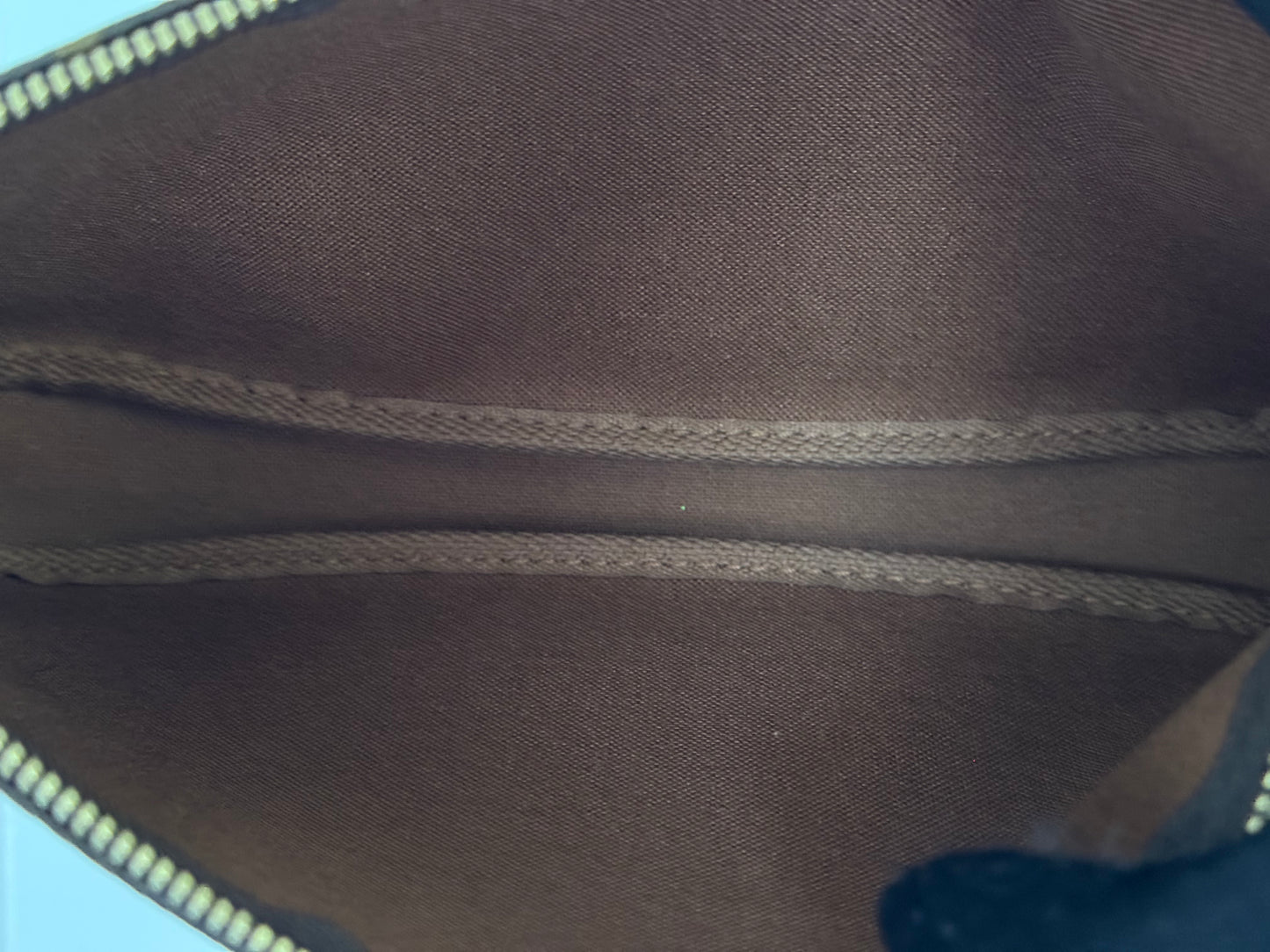 Louis Vuitton Pochette Accessoires Old Model Mono
